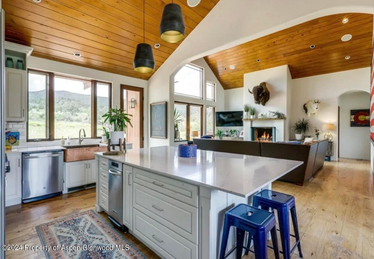 1434 Hooks Spur Road, Basalt, CO 81621 - Photo 5