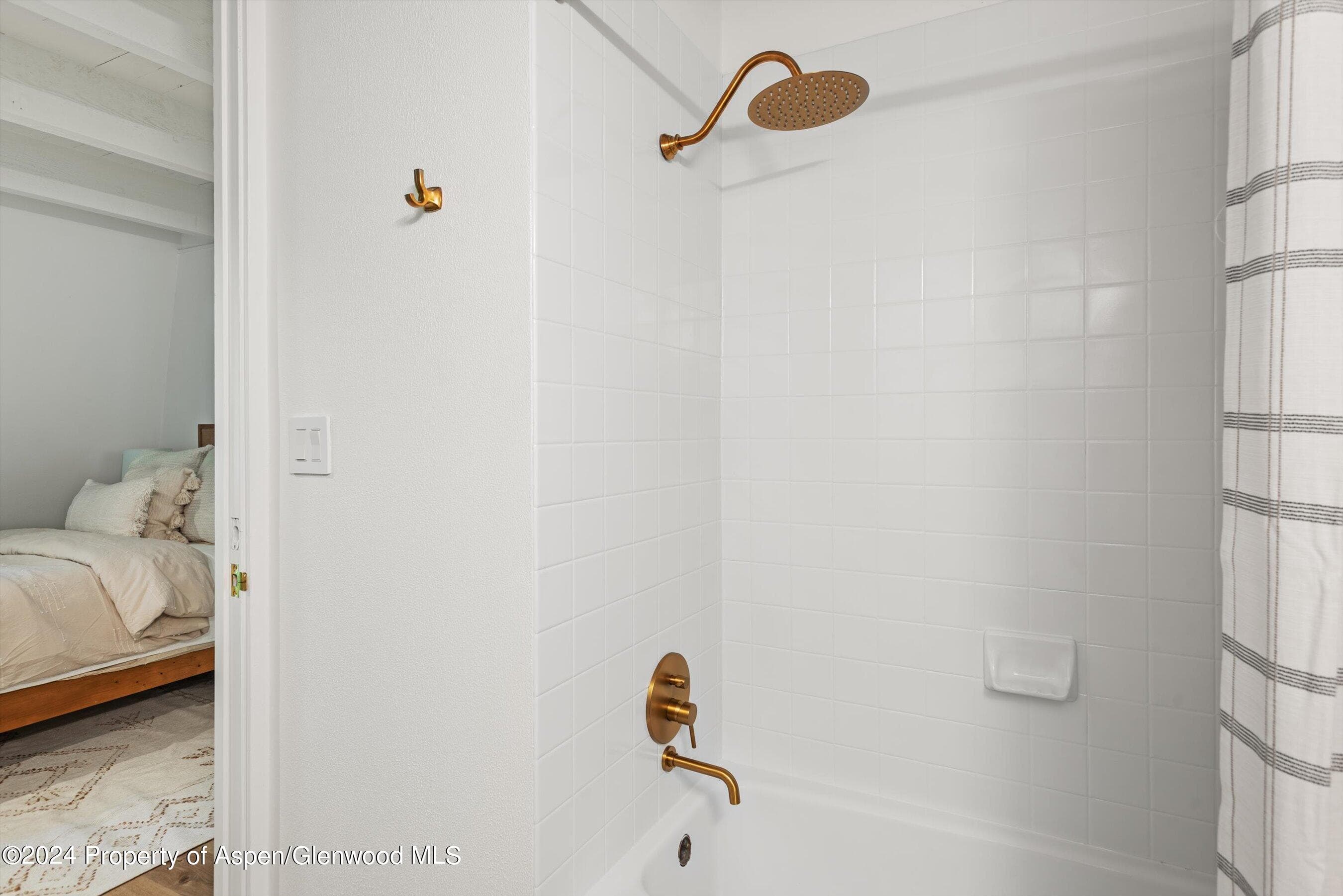501 W Bleeker Street, Aspen, CO 81611 - Photo 27