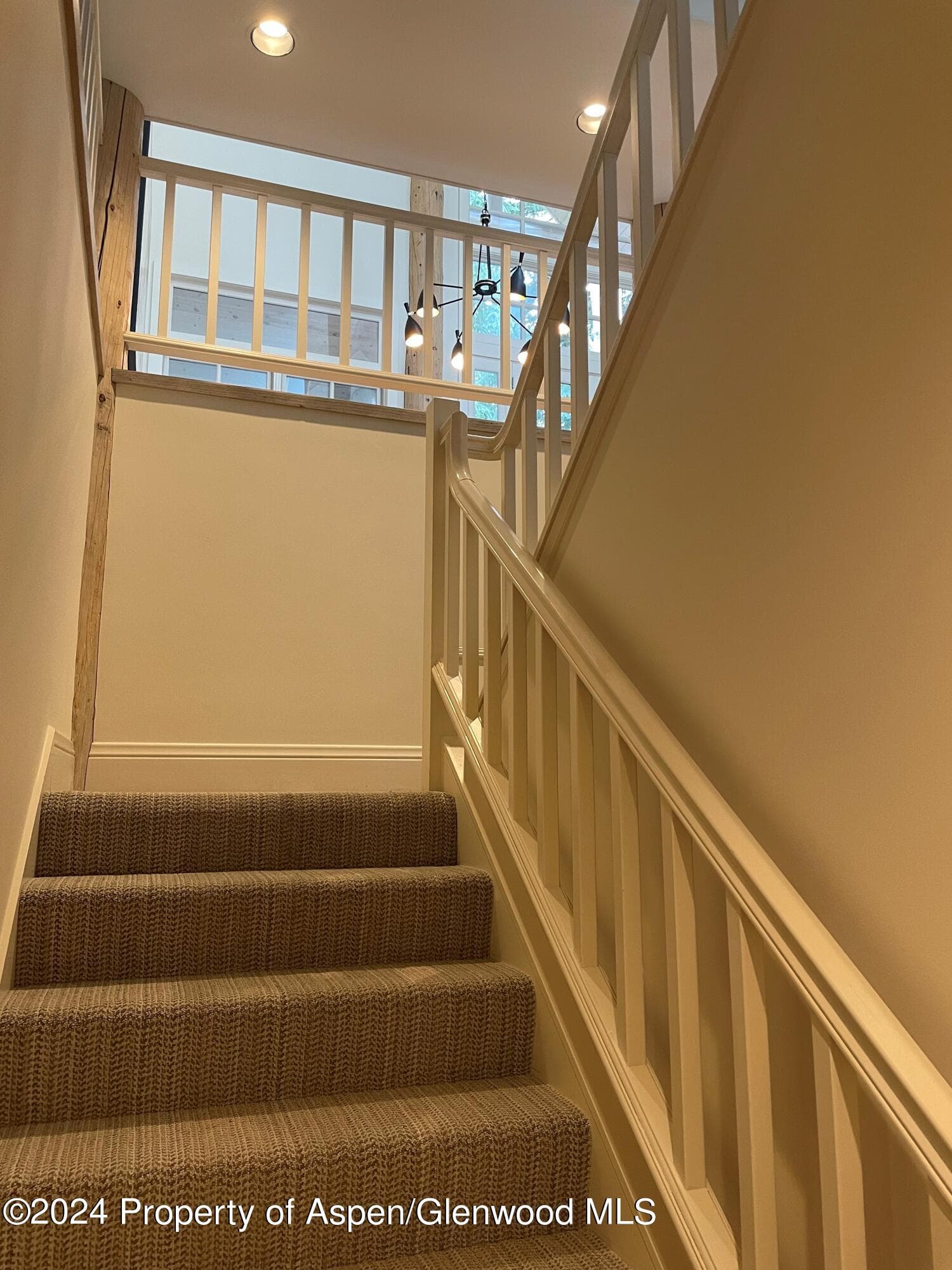 907 Waters Avenue, Aspen, CO 81611 - Photo 20