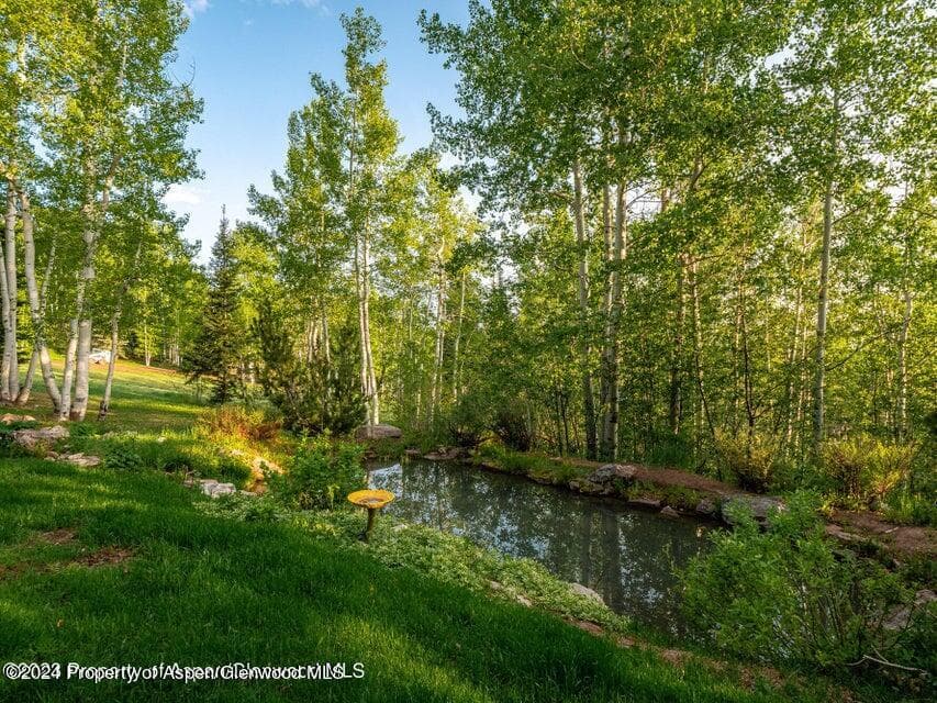 1457 Wood Road, Snowmass Village, CO 81615 - Photo 13