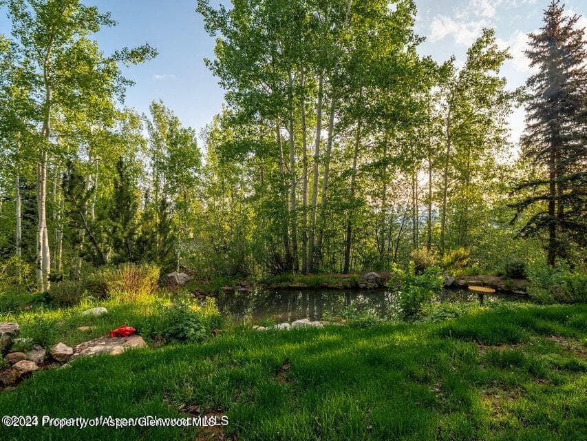 1457 Wood Road, Snowmass Village, CO 81615 - Photo 49