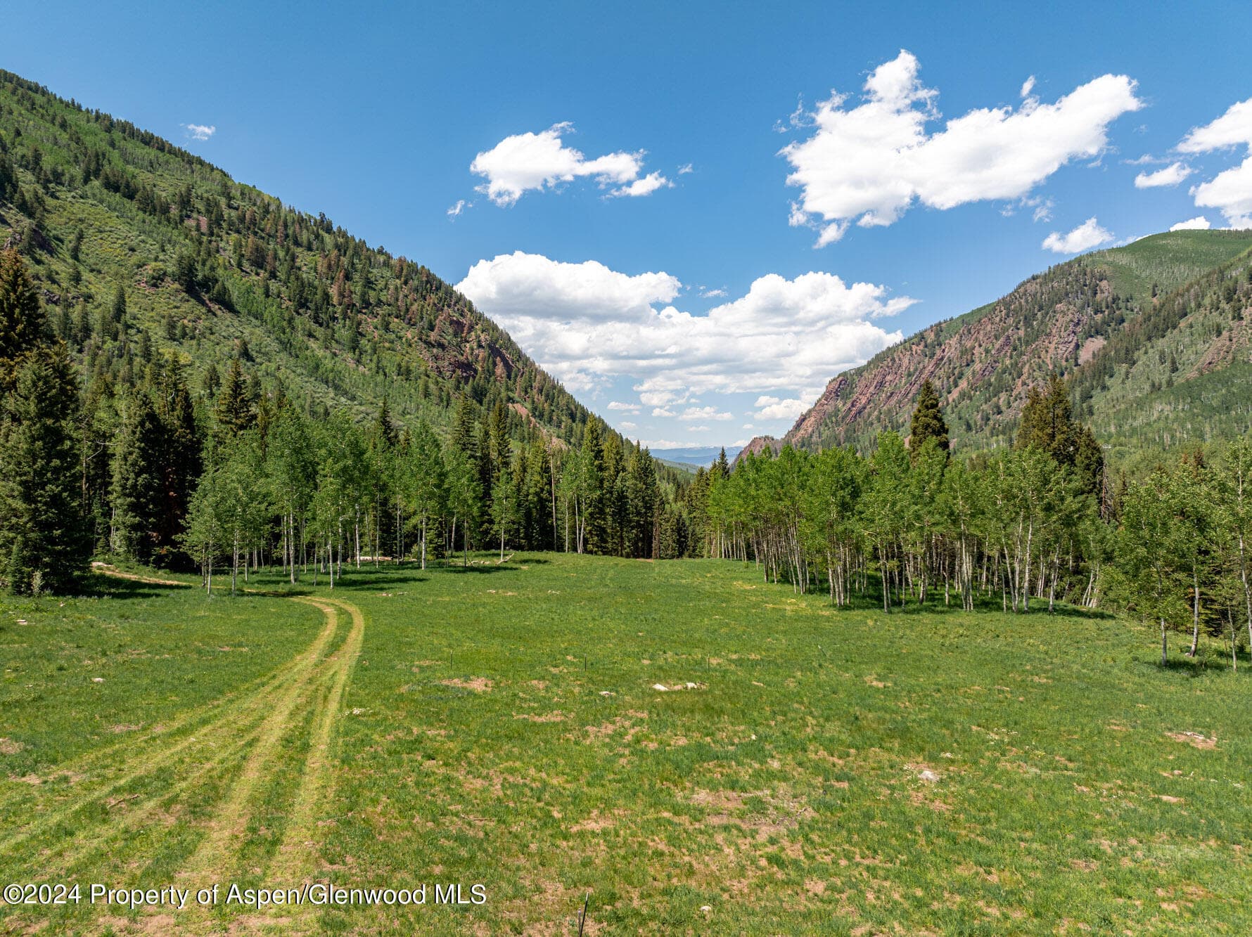 TBD Conundrum Creek Road, Aspen, CO 81611 - Photo 10