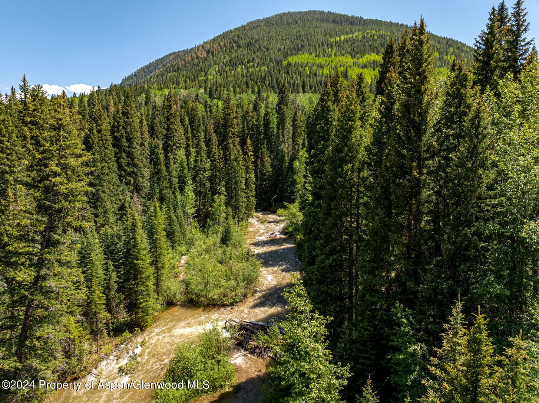 TBD Conundrum Creek Road, Aspen, CO 81611 - Photo 9