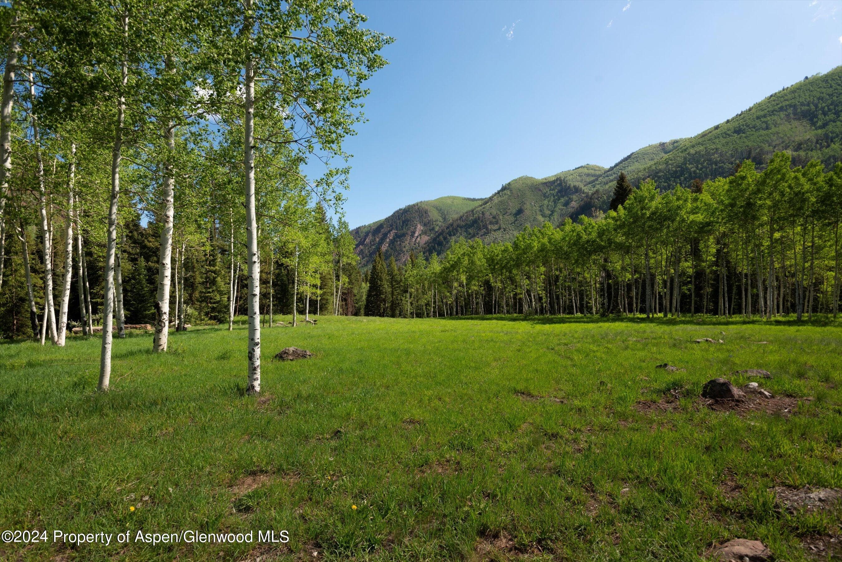 TBD Conundrum Creek Road, Aspen, CO 81611 - Photo 8