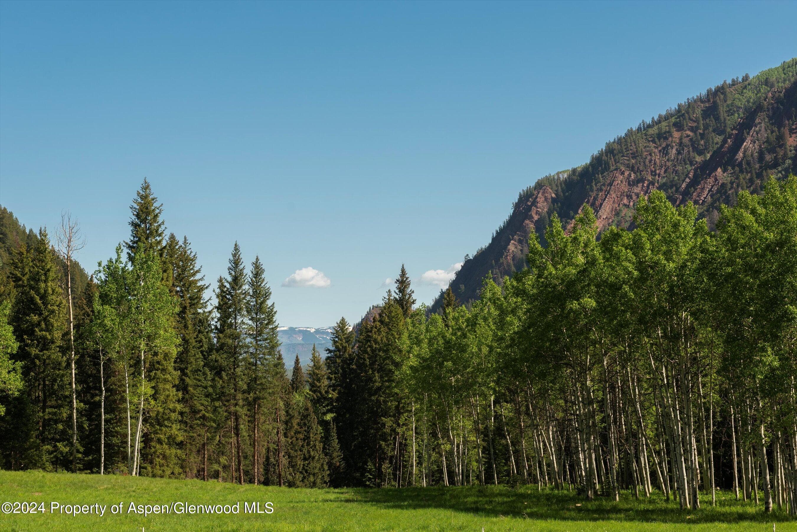 TBD Conundrum Creek Road, Aspen, CO 81611 - Photo 7