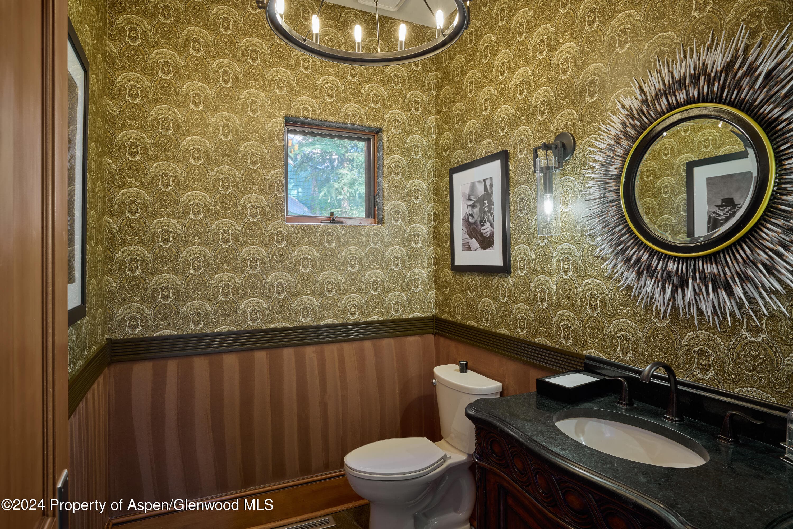 910 White Star Drive, Aspen, CO 81611 - Photo 29