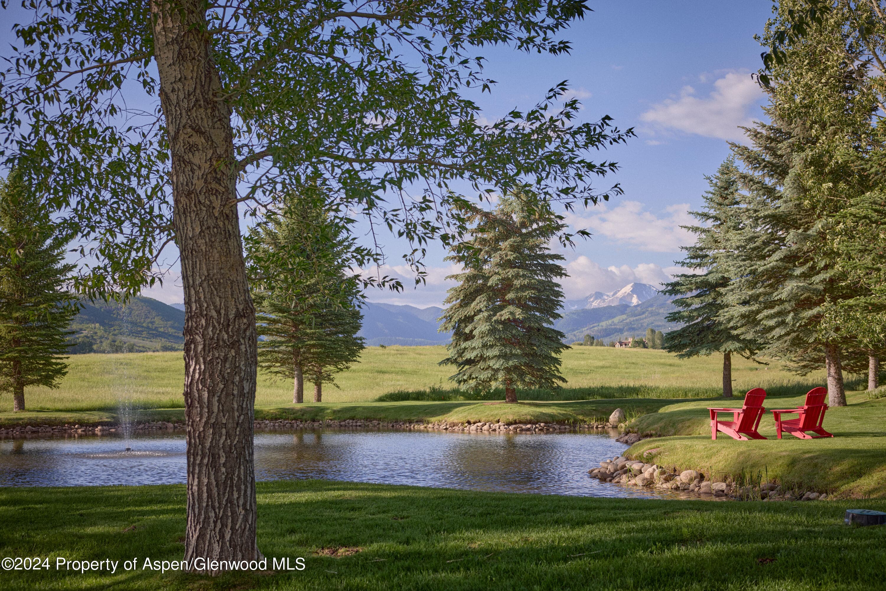 910 White Star Drive, Aspen, CO 81611 - Photo 63