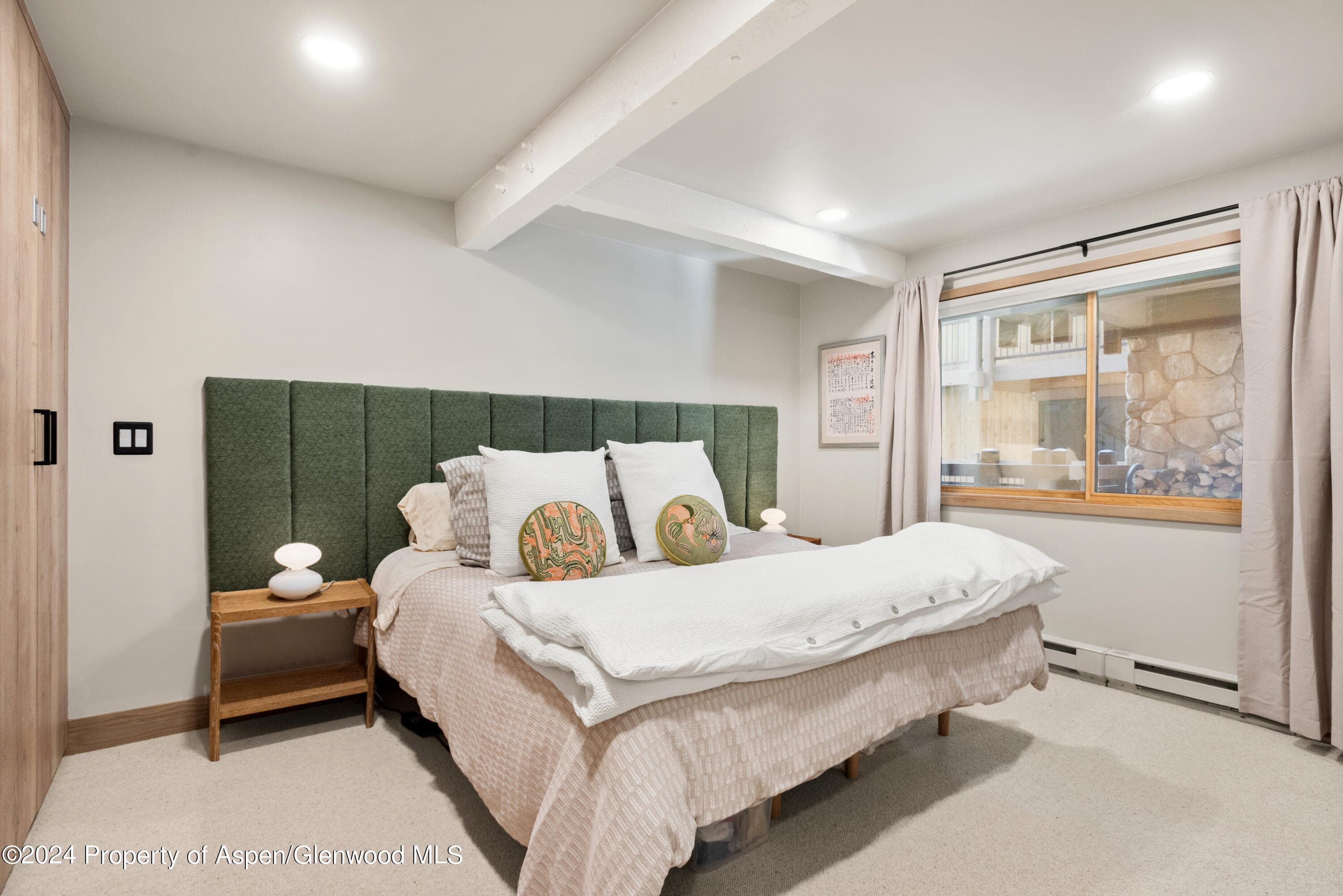 131 E Durant Avenue 208, Aspen, CO 81611 - Photo 7