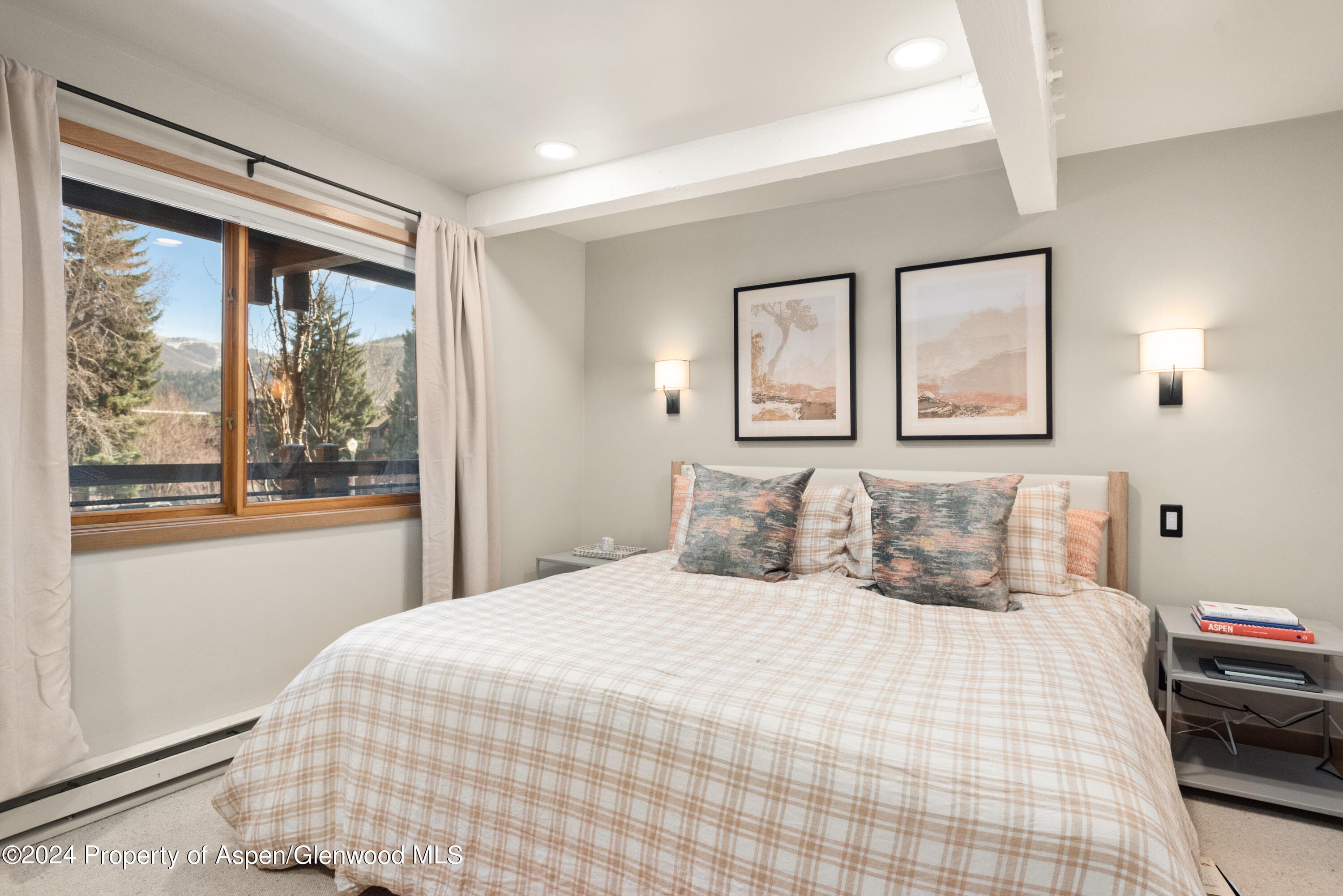 131 E Durant Avenue 208, Aspen, CO 81611 - Photo 9