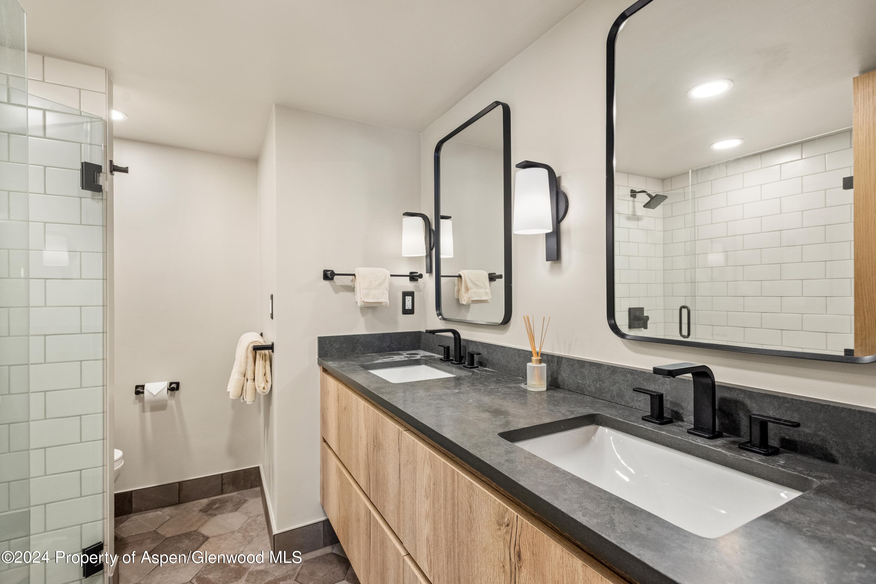 131 E Durant Avenue 208, Aspen, CO 81611 - Photo 8