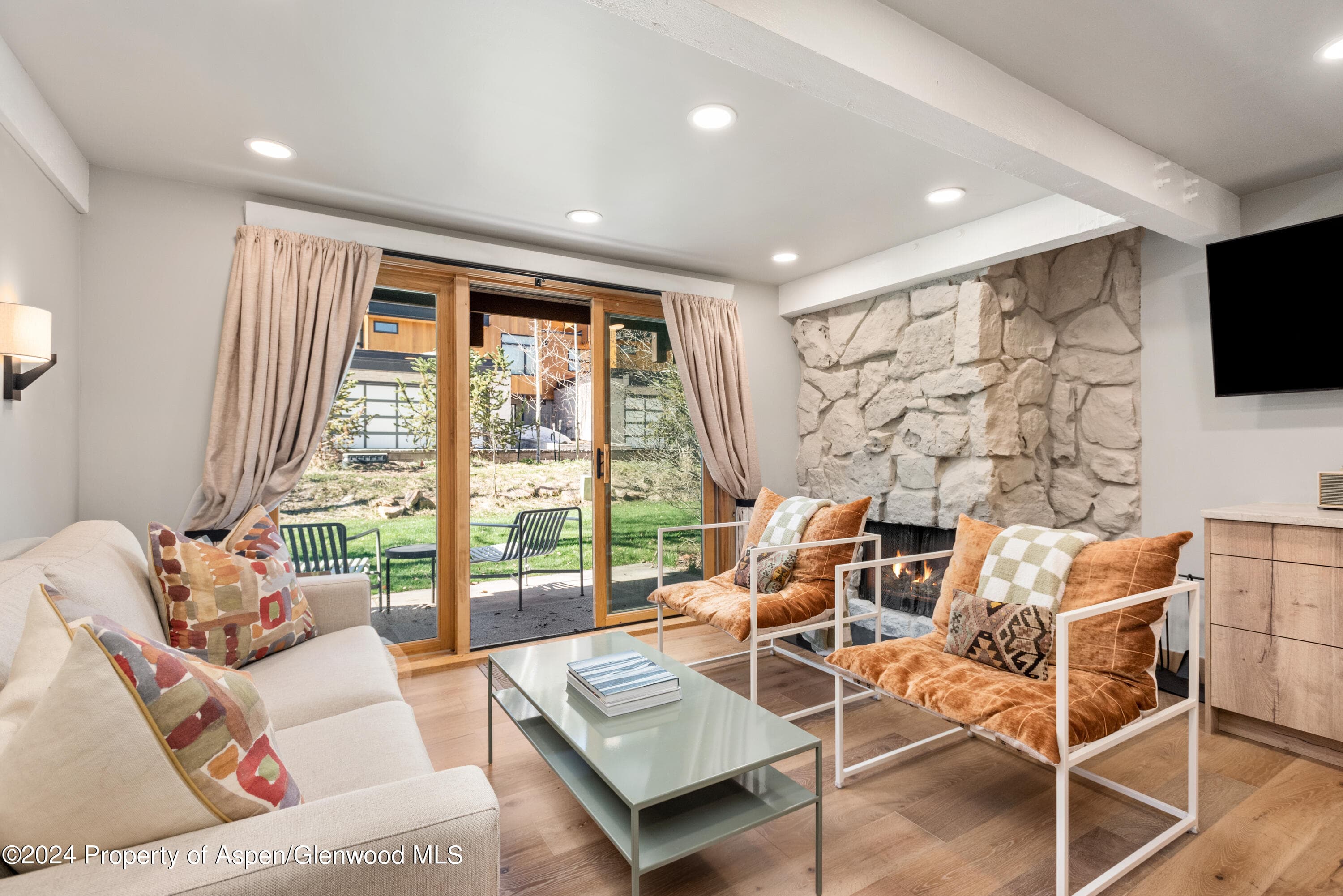 131 E Durant Avenue 208, Aspen, CO 81611 - Photo 2