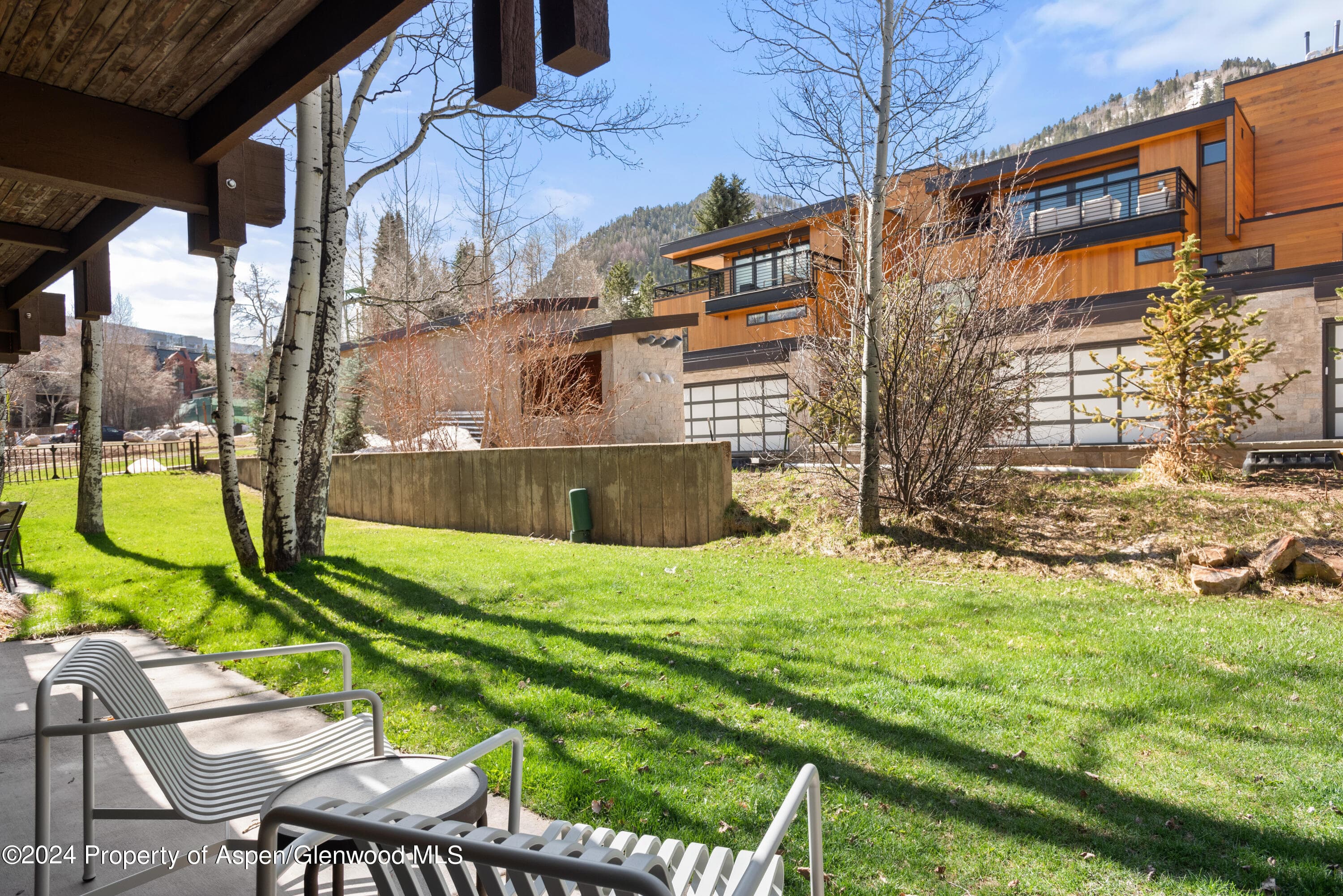 131 E Durant Avenue 208, Aspen, CO 81611 - Photo 13
