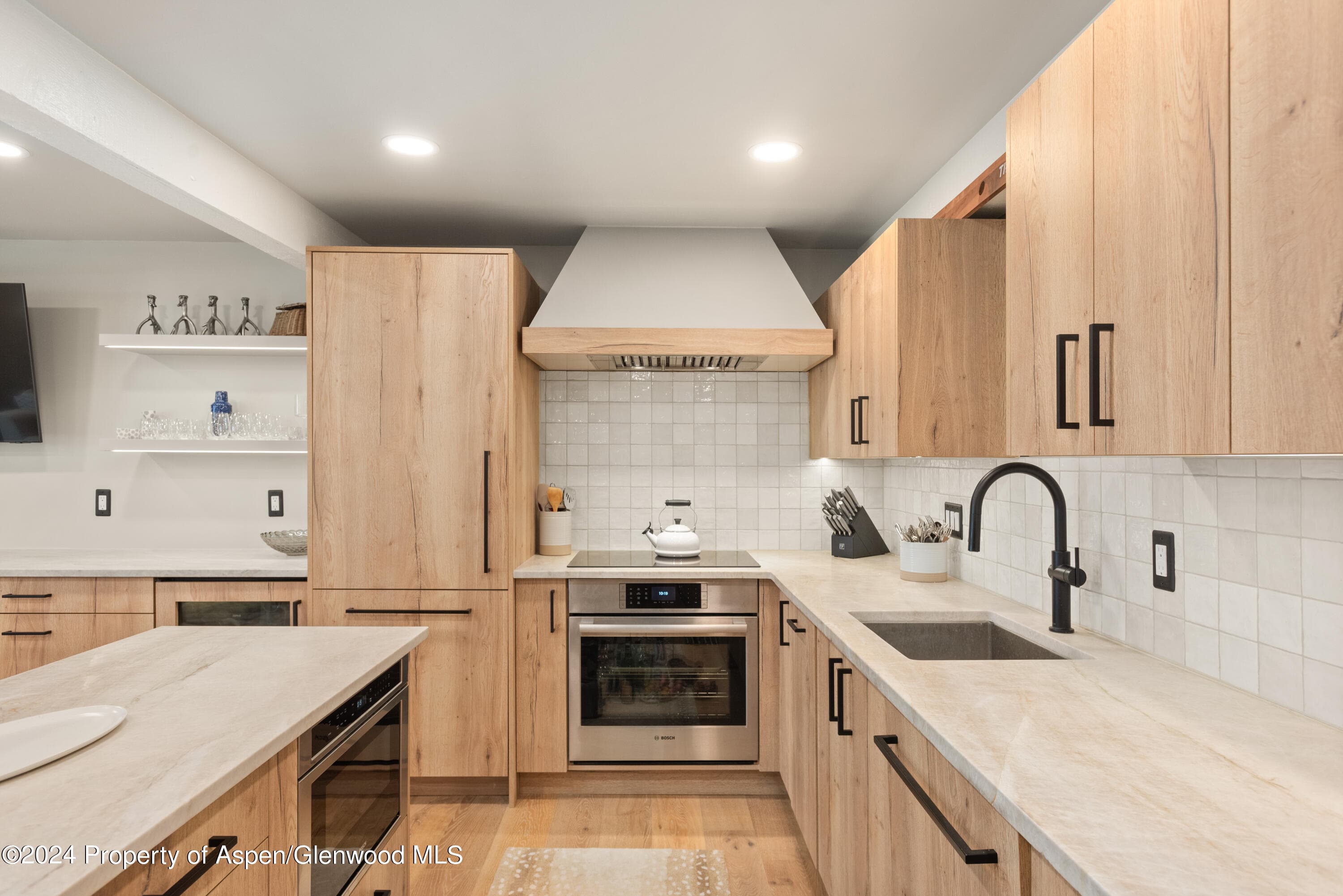 131 E Durant Avenue 208, Aspen, CO 81611 - Photo 6