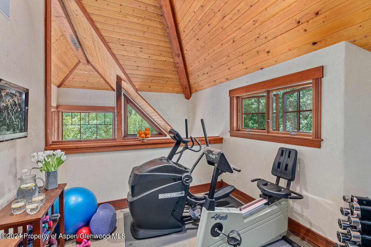 370 Gerbaz Way, Woody Creek, CO 81656 - Photo 47