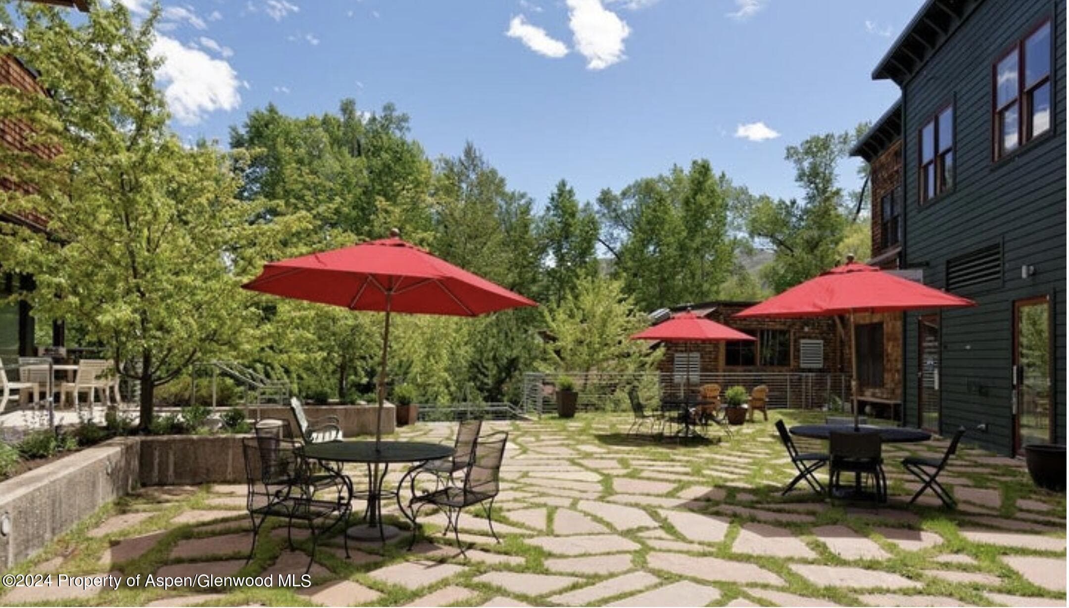 231 Midland Avenue 101, Basalt, CO 81621 - Photo 11