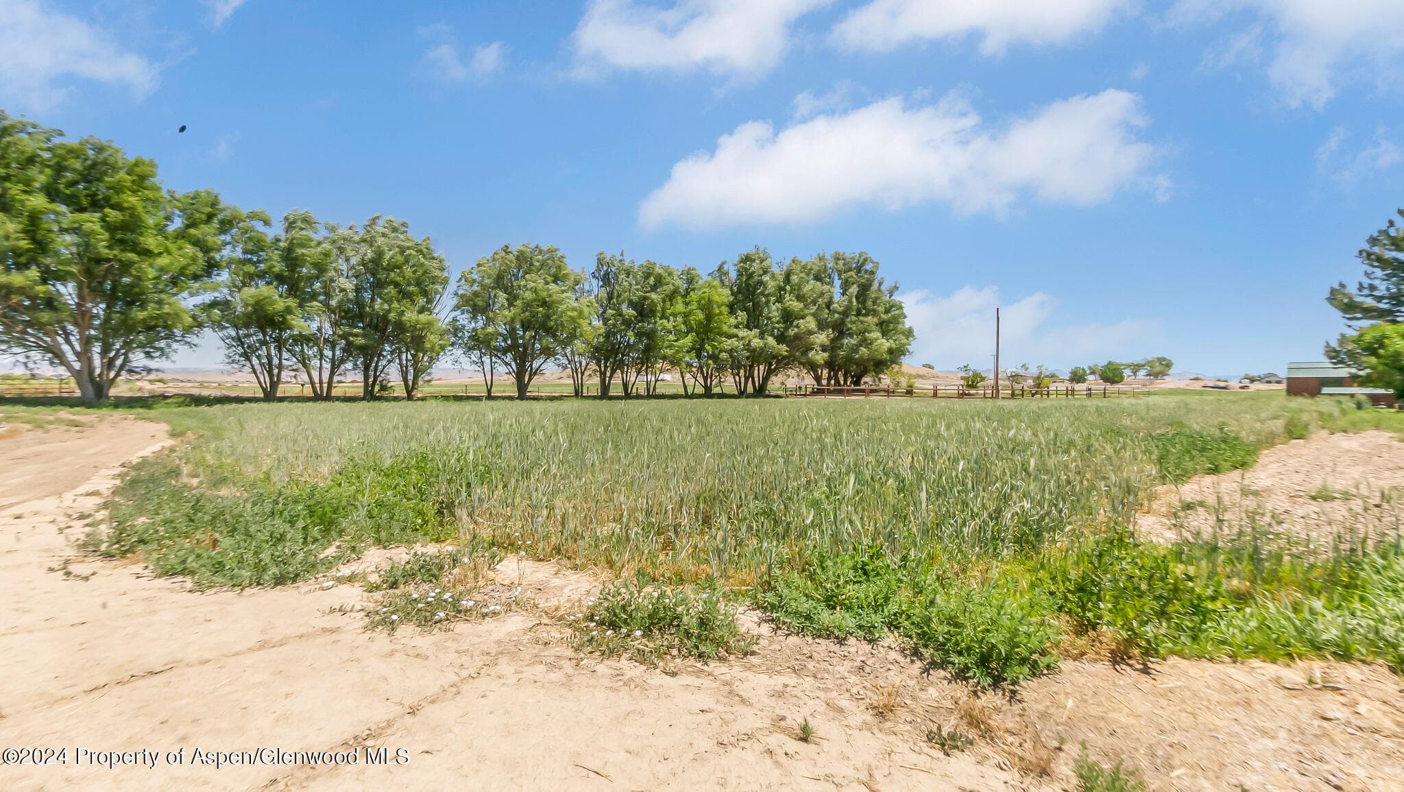 1355 N Road Road, Loma, CO 81524 - Photo 41