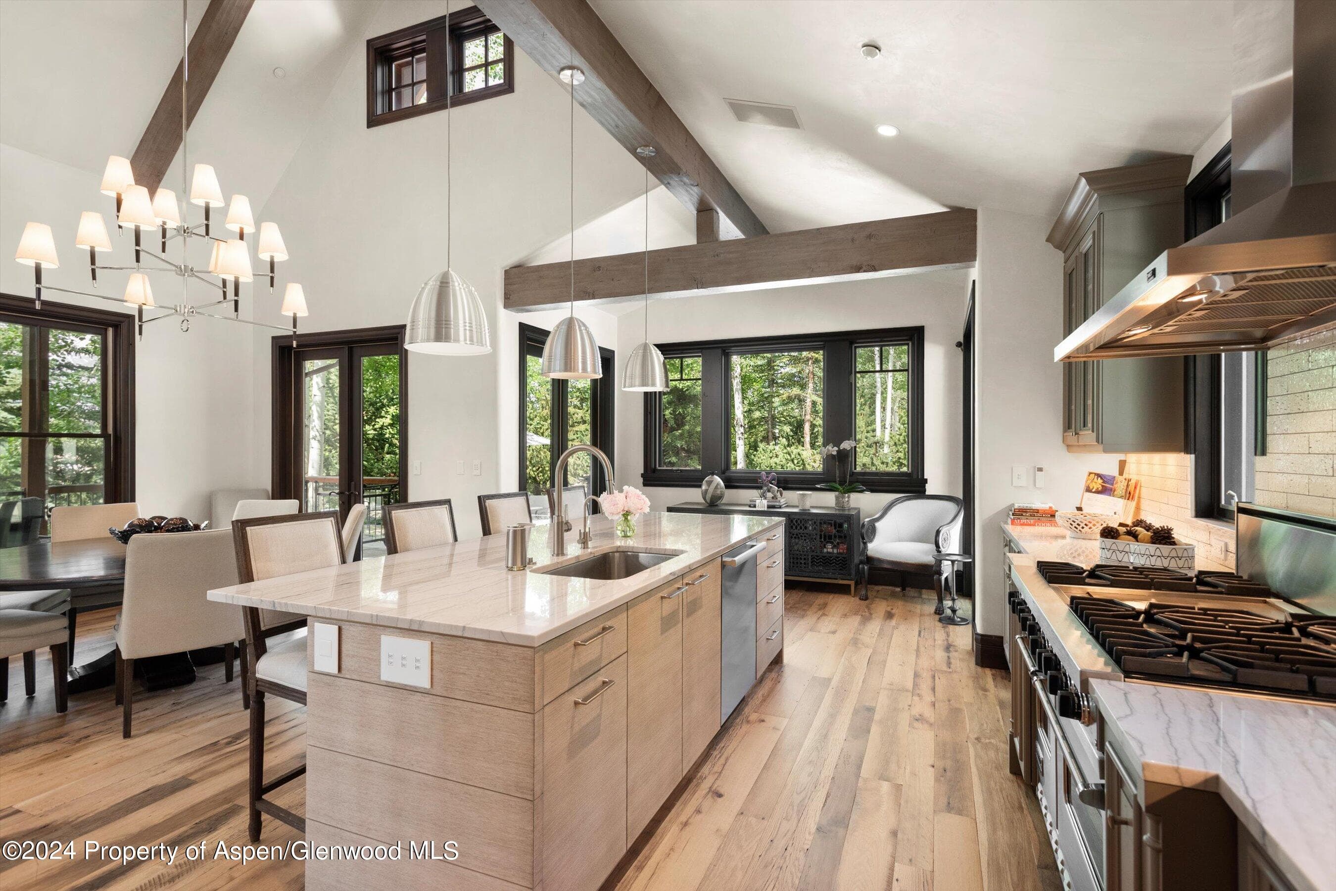 27 Nighthawk Drive, Aspen, CO 81611 - Photo 10