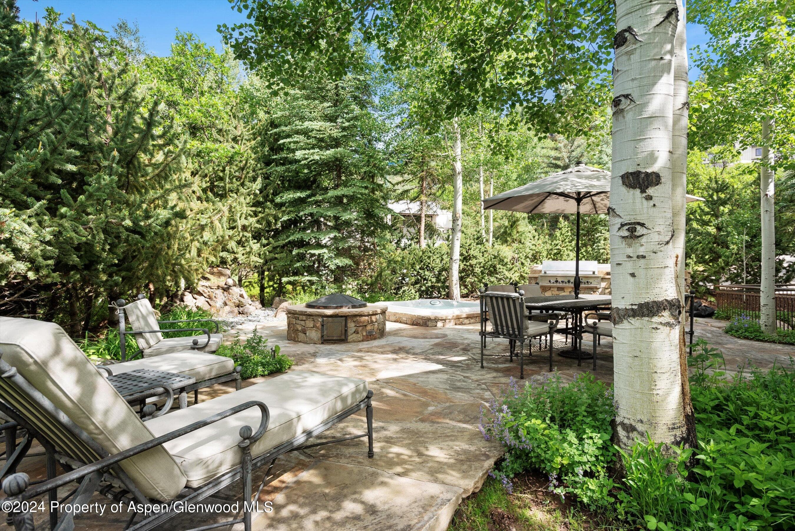 27 Nighthawk Drive, Aspen, CO 81611 - Photo 8