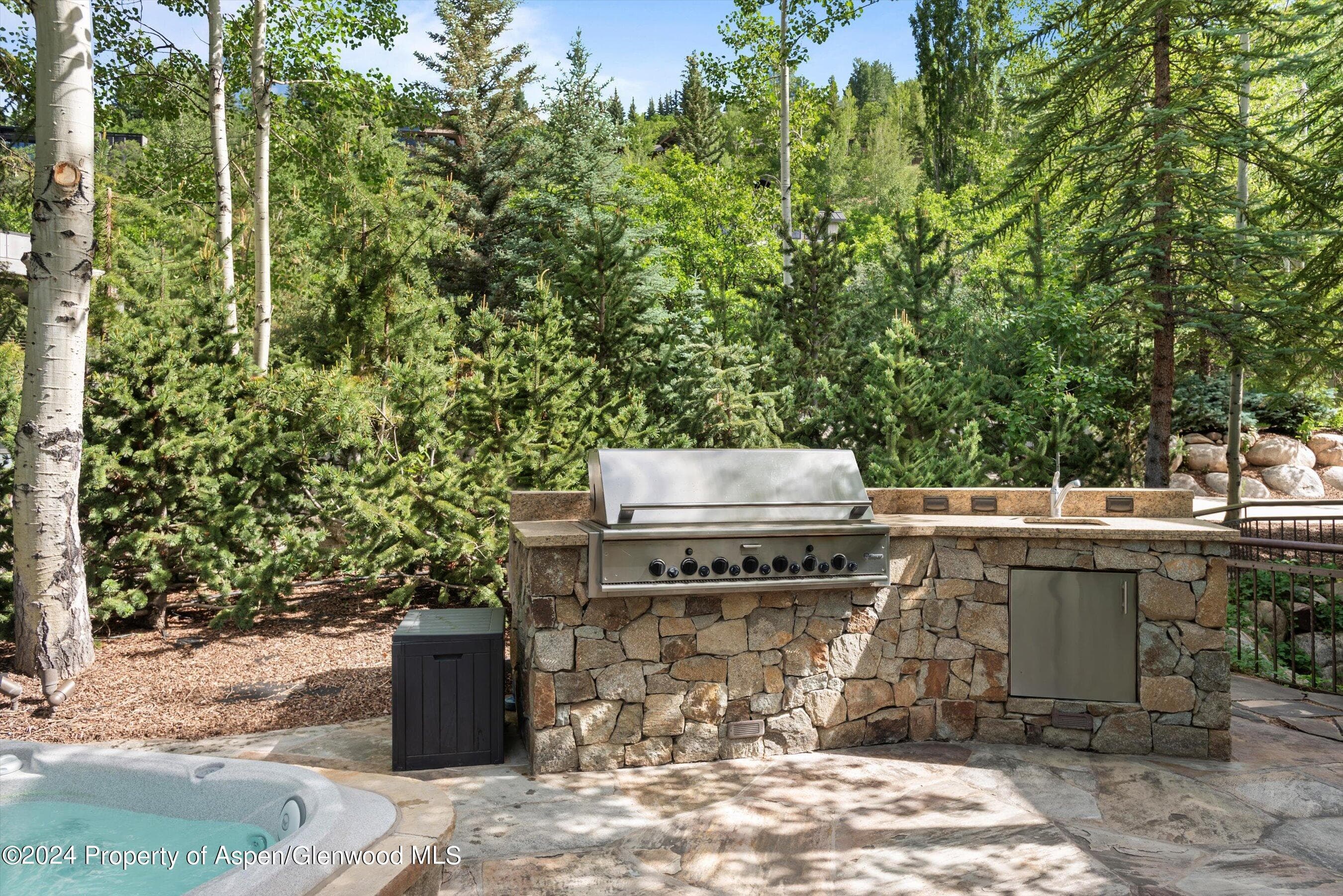 27 Nighthawk Drive, Aspen, CO 81611 - Photo 51