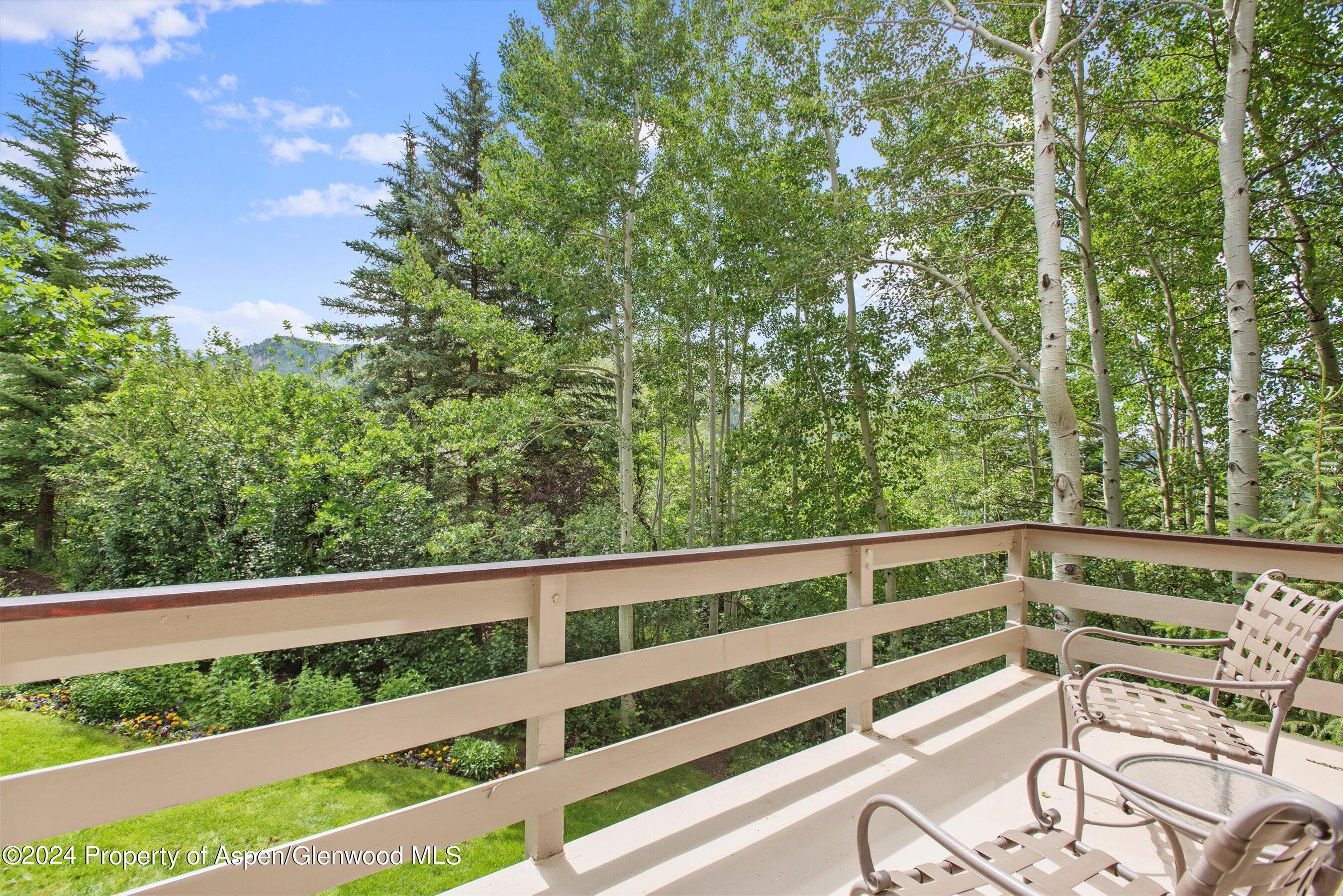 209 Larkspur Lane, Aspen, CO 81611 - Photo 14