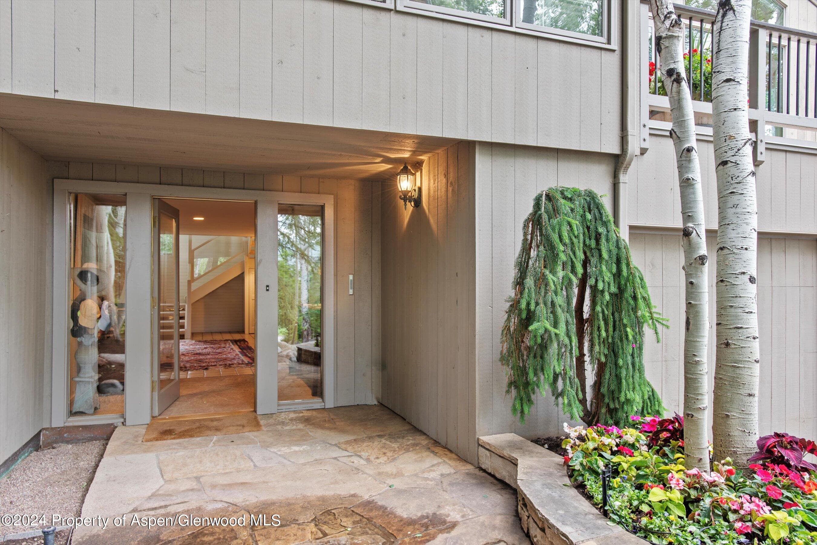 209 Larkspur Lane, Aspen, CO 81611 - Photo 5