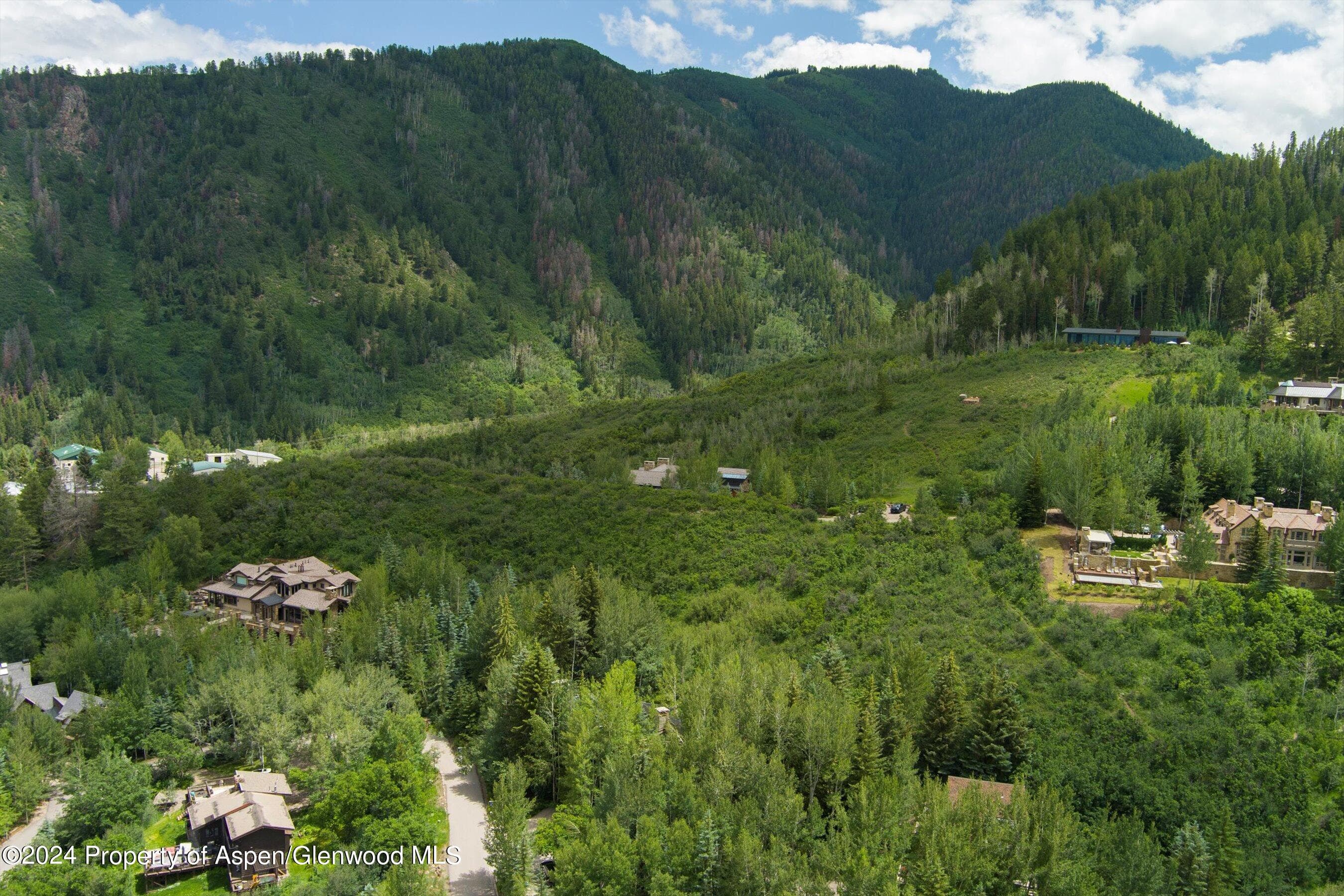 209 Larkspur Lane, Aspen, CO 81611 - Photo 44