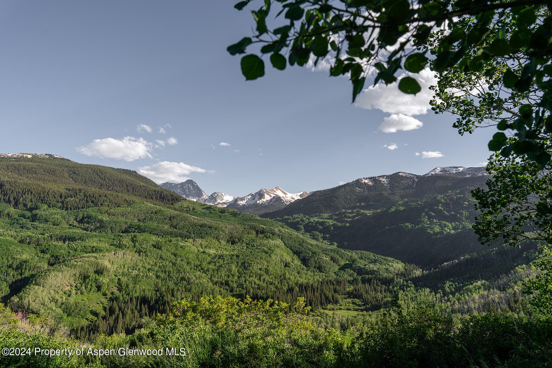 1012 Monastery Road, Snowmass, CO 81654 - Photo 66