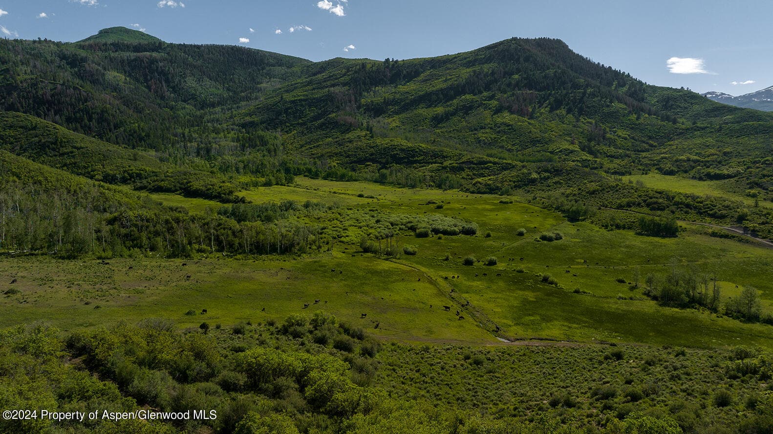 1012 Monastery Road, Snowmass, CO 81654 - Photo 88