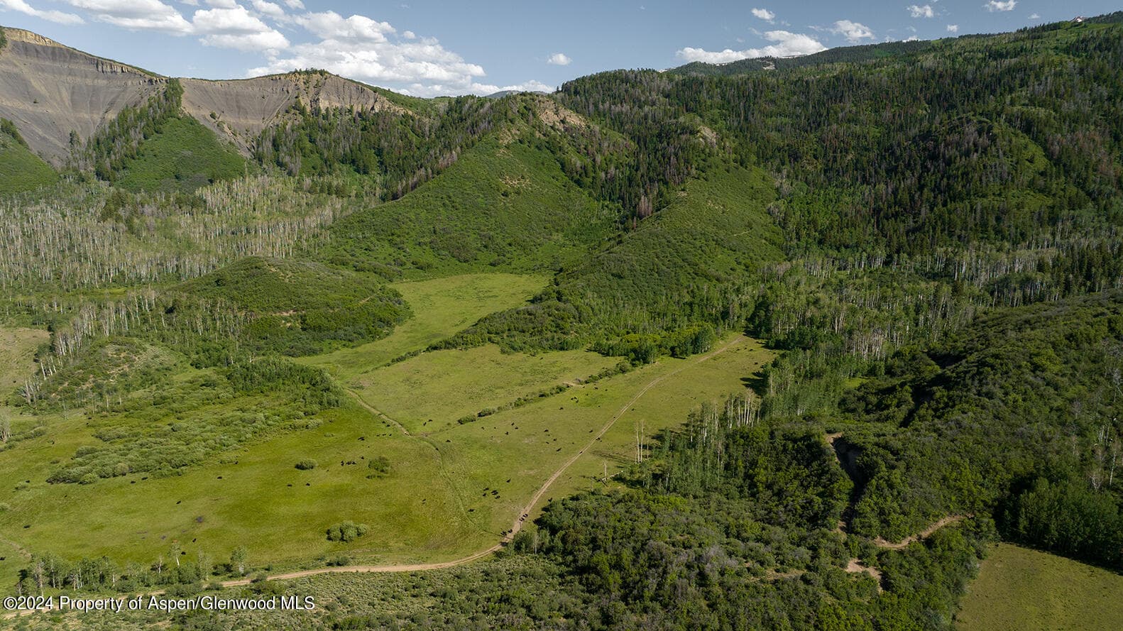 1012 Monastery Road, Snowmass, CO 81654 - Photo 82