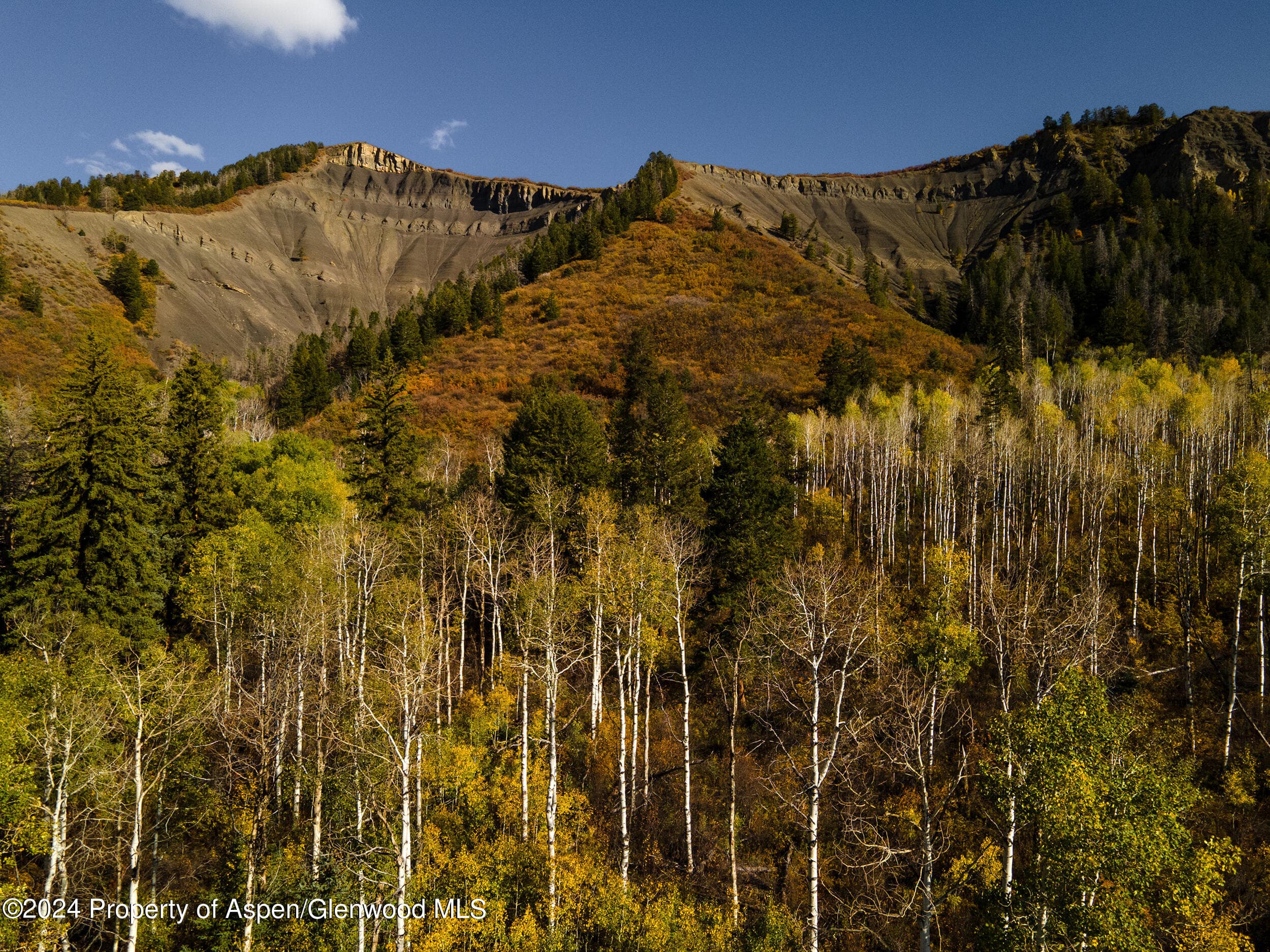 1012 Monastery Road, Snowmass, CO 81654 - Photo 14
