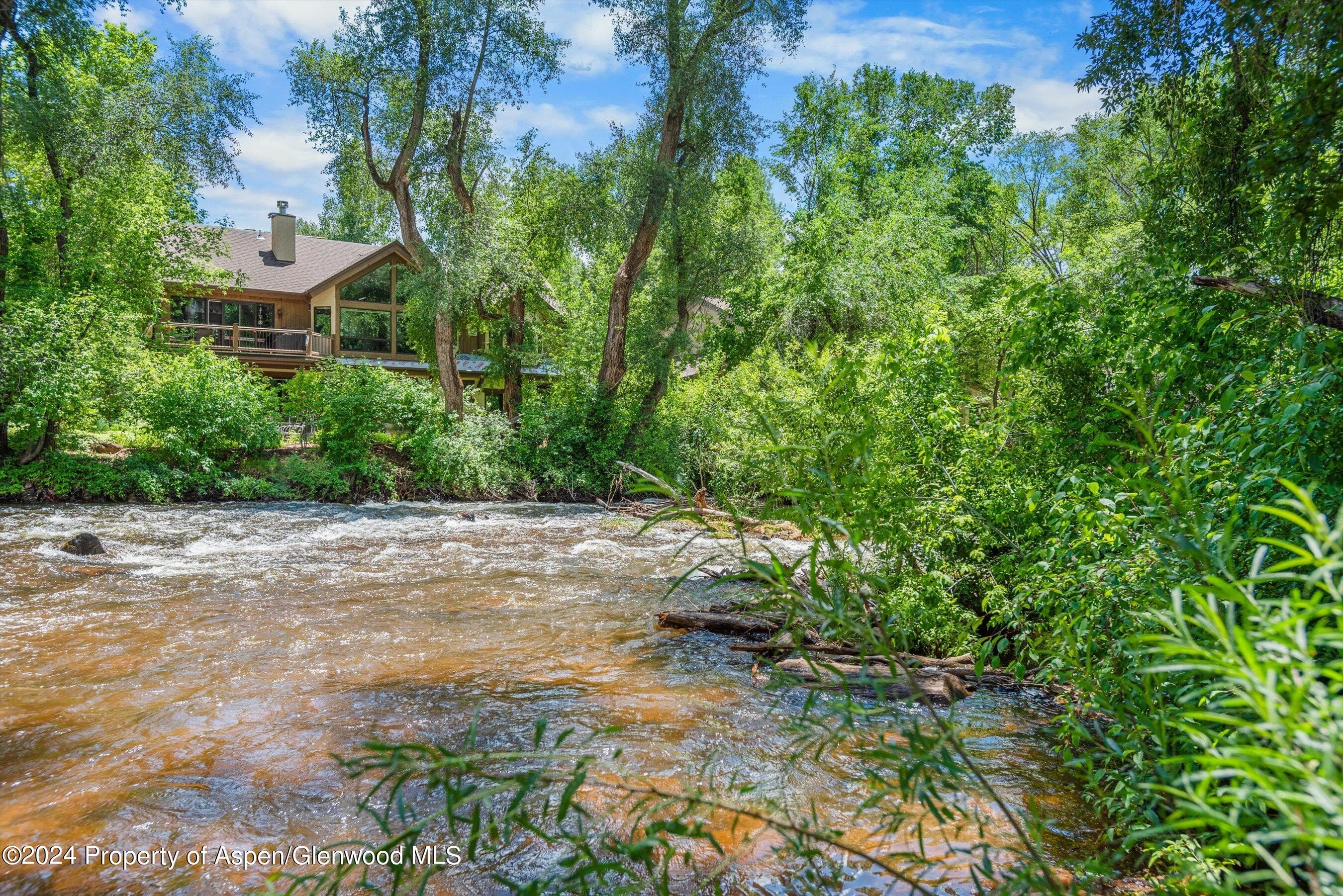 231 Midland Avenue 101, Basalt, CO 81621 - Photo 12