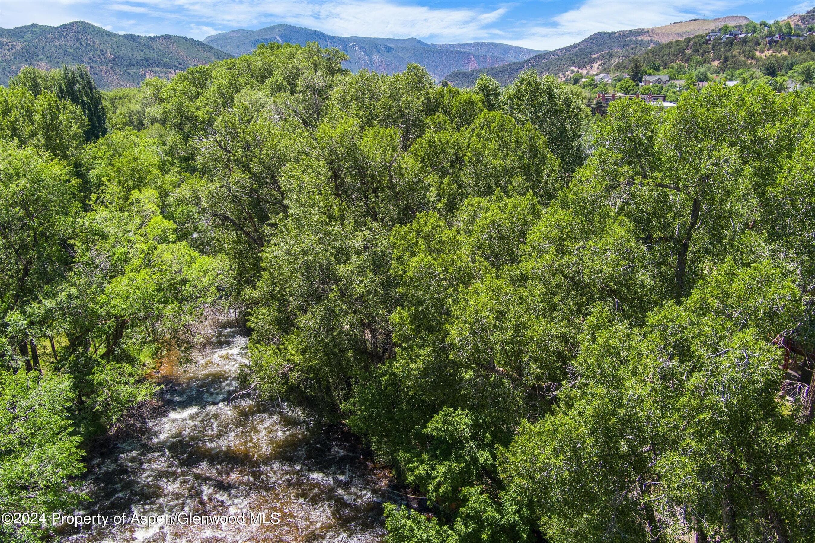 231 Midland Avenue 101, Basalt, CO 81621 - Photo 25