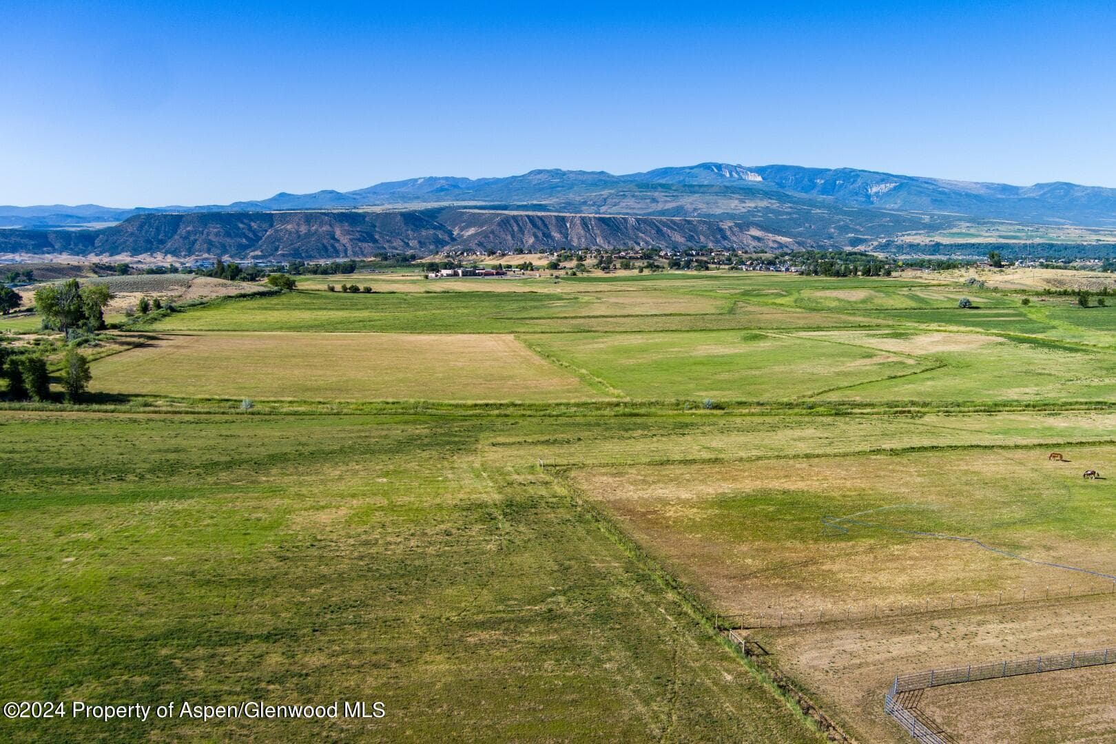 Tbd 233 County Road, Rifle, CO 81650 - Photo 3