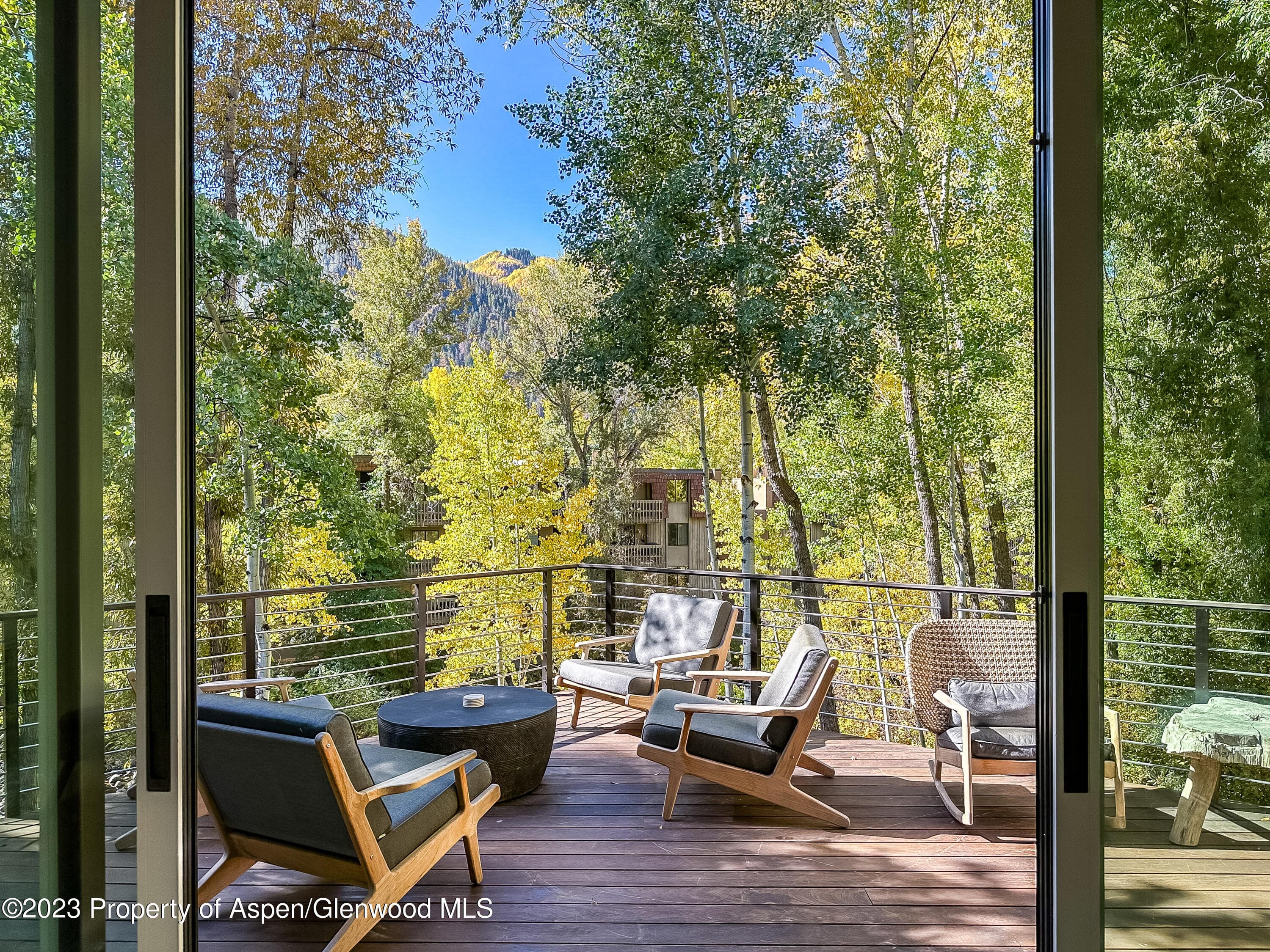 345 Park Avenue, Aspen, CO 81611 - Photo 5