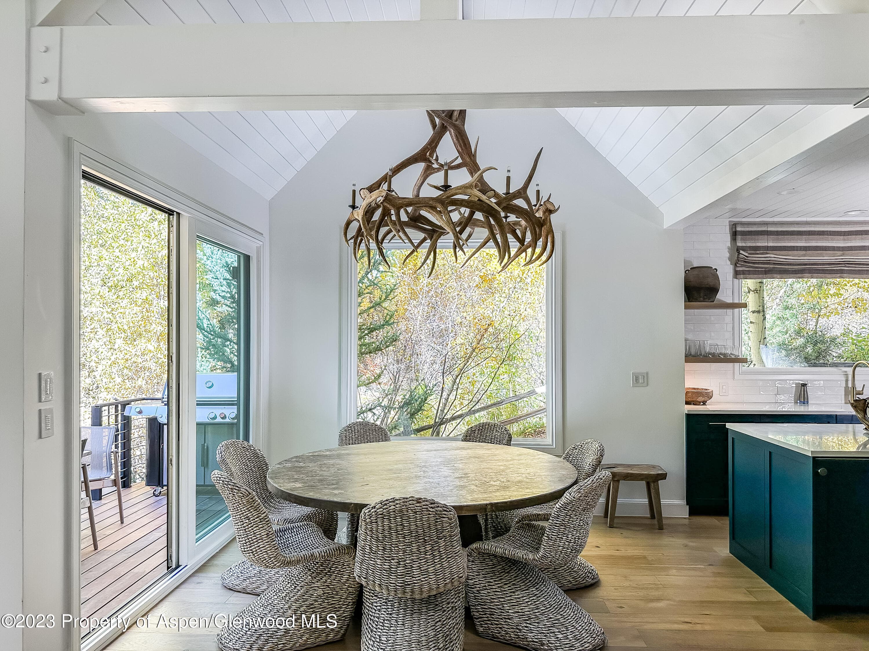 345 Park Avenue, Aspen, CO 81611 - Photo 9