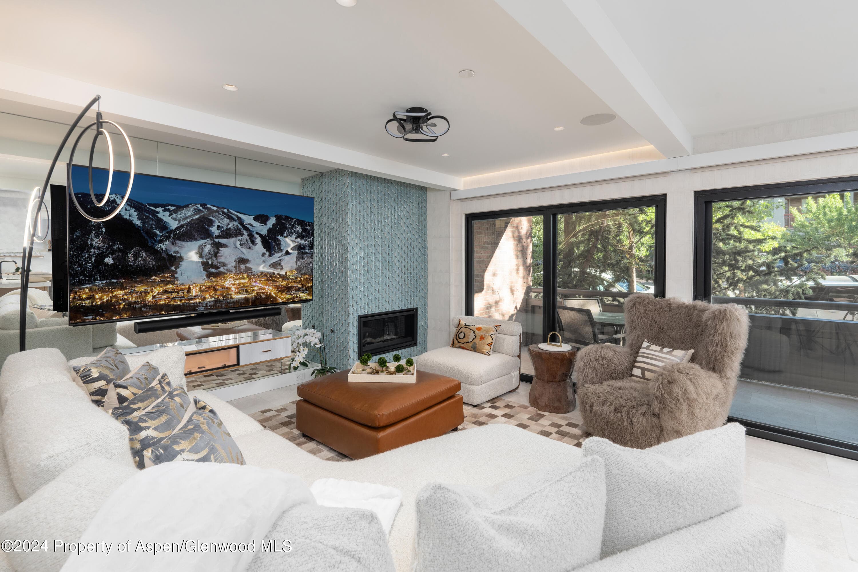 617 E Cooper Avenue 110, Aspen, CO 81611 - Photo 3