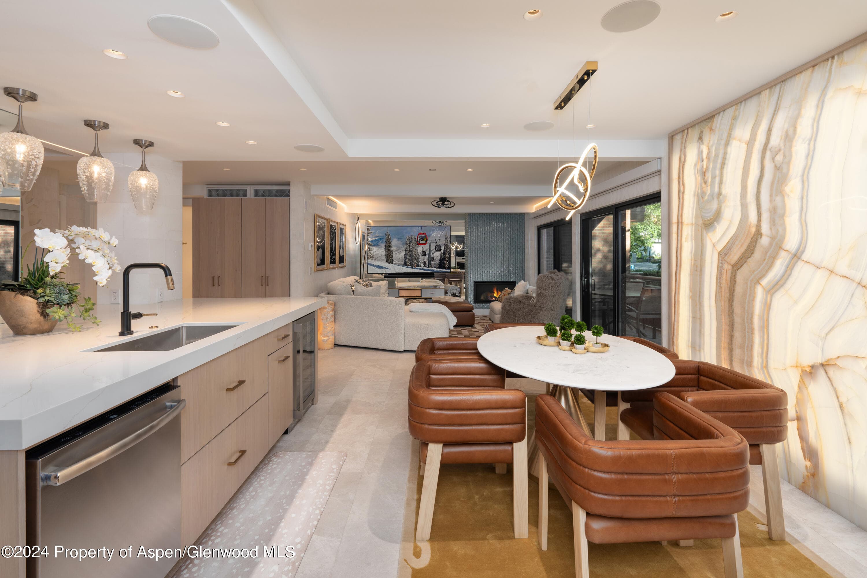 617 E Cooper Avenue 110, Aspen, CO 81611 - Photo 5