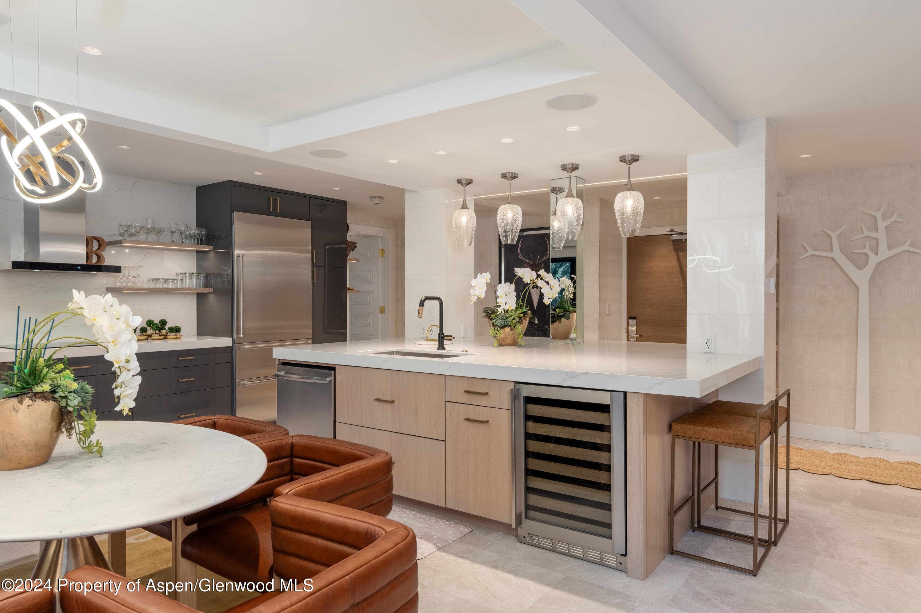 617 E Cooper Avenue 110, Aspen, CO 81611 - Photo 8