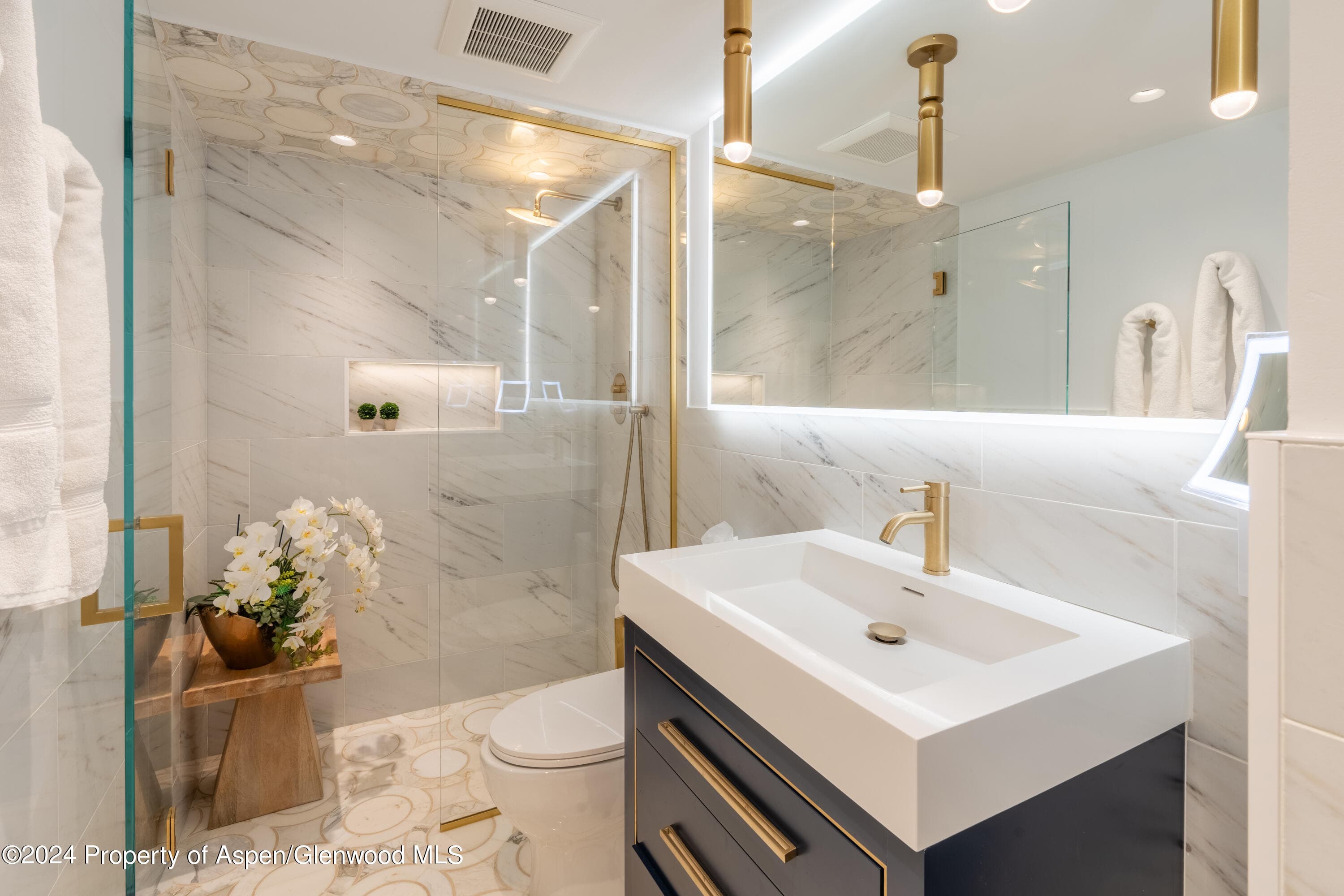 617 E Cooper Avenue 110, Aspen, CO 81611 - Photo 11