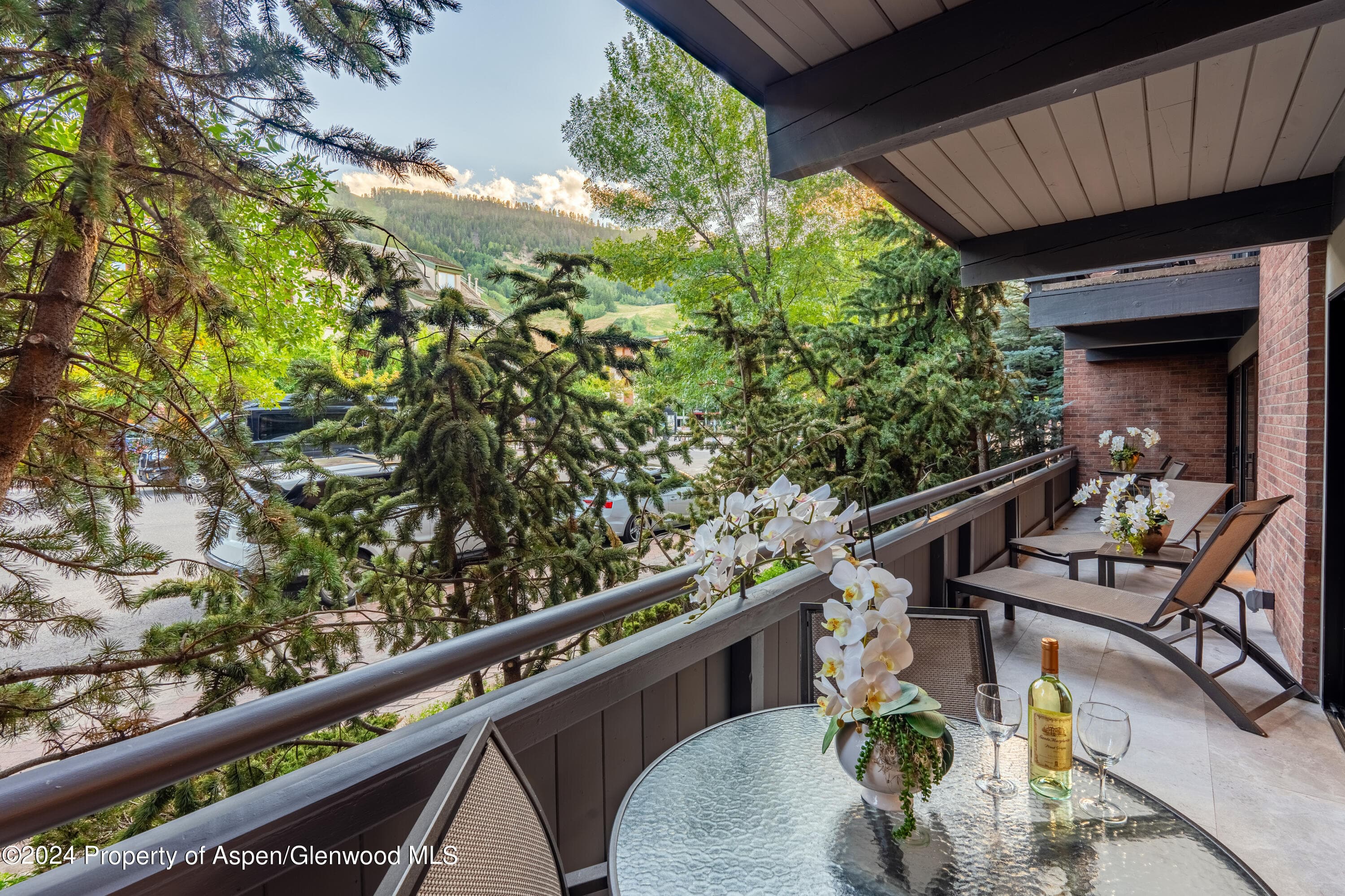 617 E Cooper Avenue 110, Aspen, CO 81611 - Photo 14