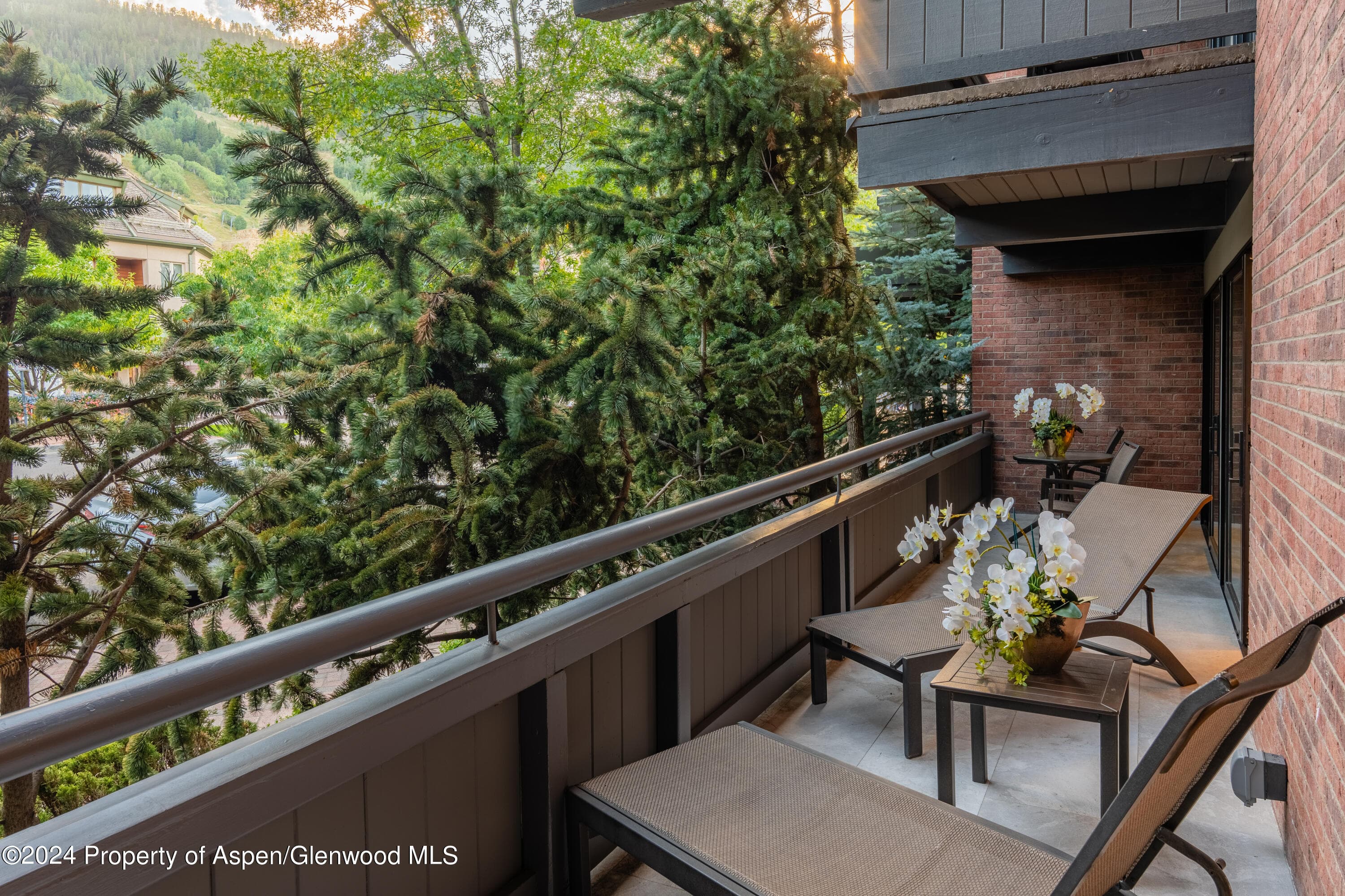 617 E Cooper Avenue 110, Aspen, CO 81611 - Photo 15