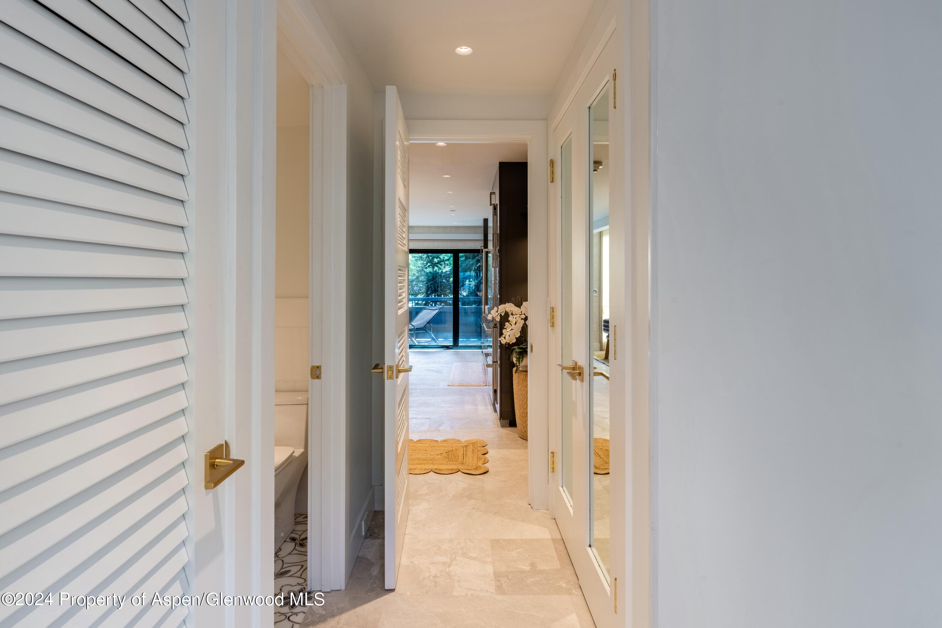 617 E Cooper Avenue 110, Aspen, CO 81611 - Photo 18