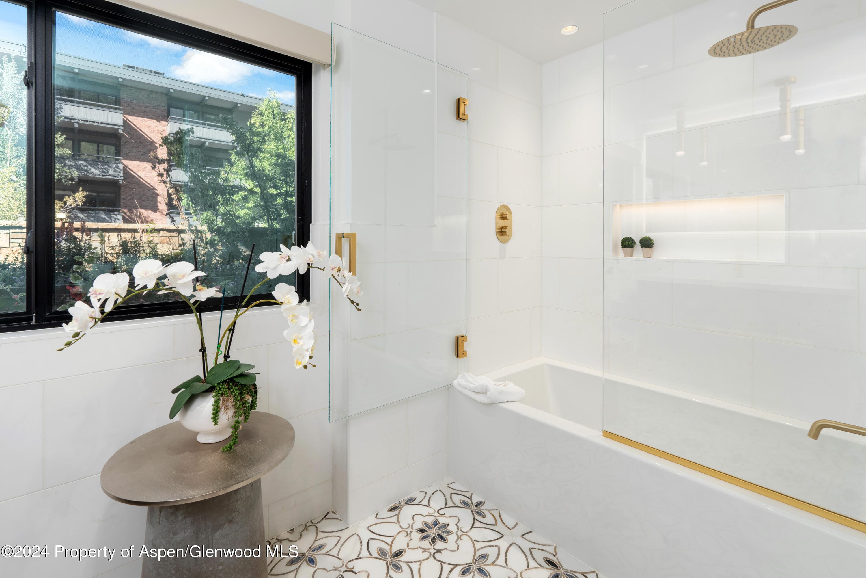 617 E Cooper Avenue 110, Aspen, CO 81611 - Photo 20