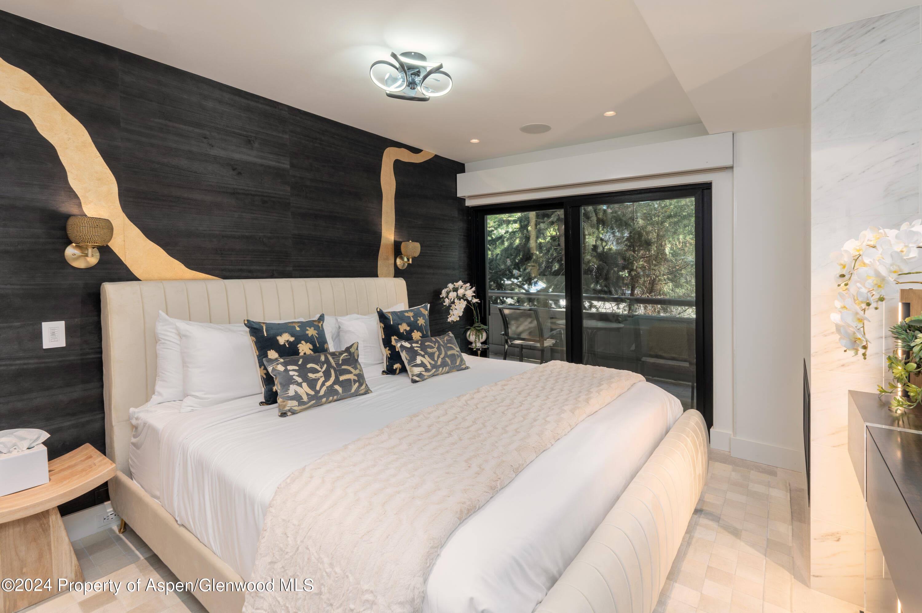 617 E Cooper Avenue 110, Aspen, CO 81611 - Photo 22