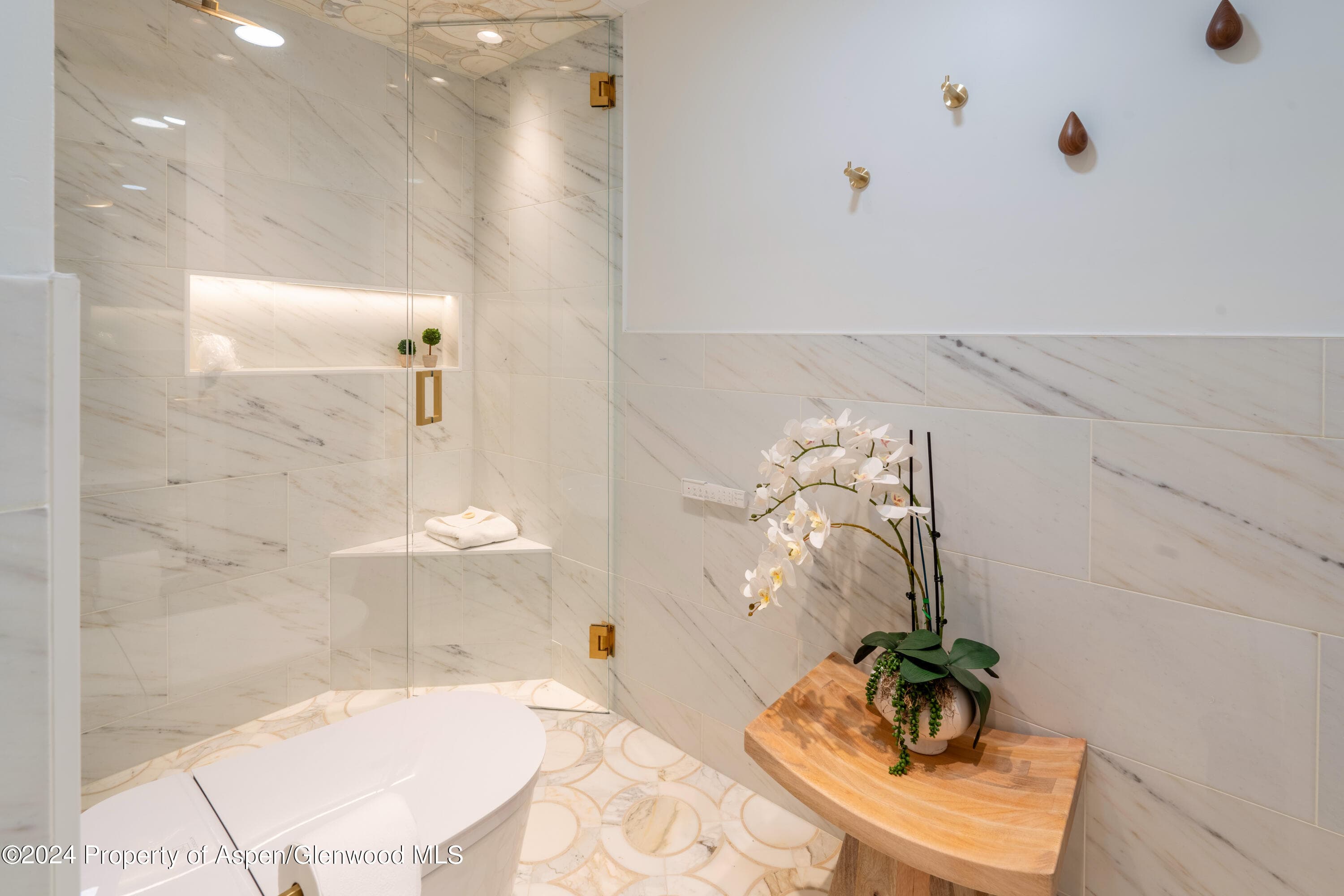 617 E Cooper Avenue 110, Aspen, CO 81611 - Photo 23