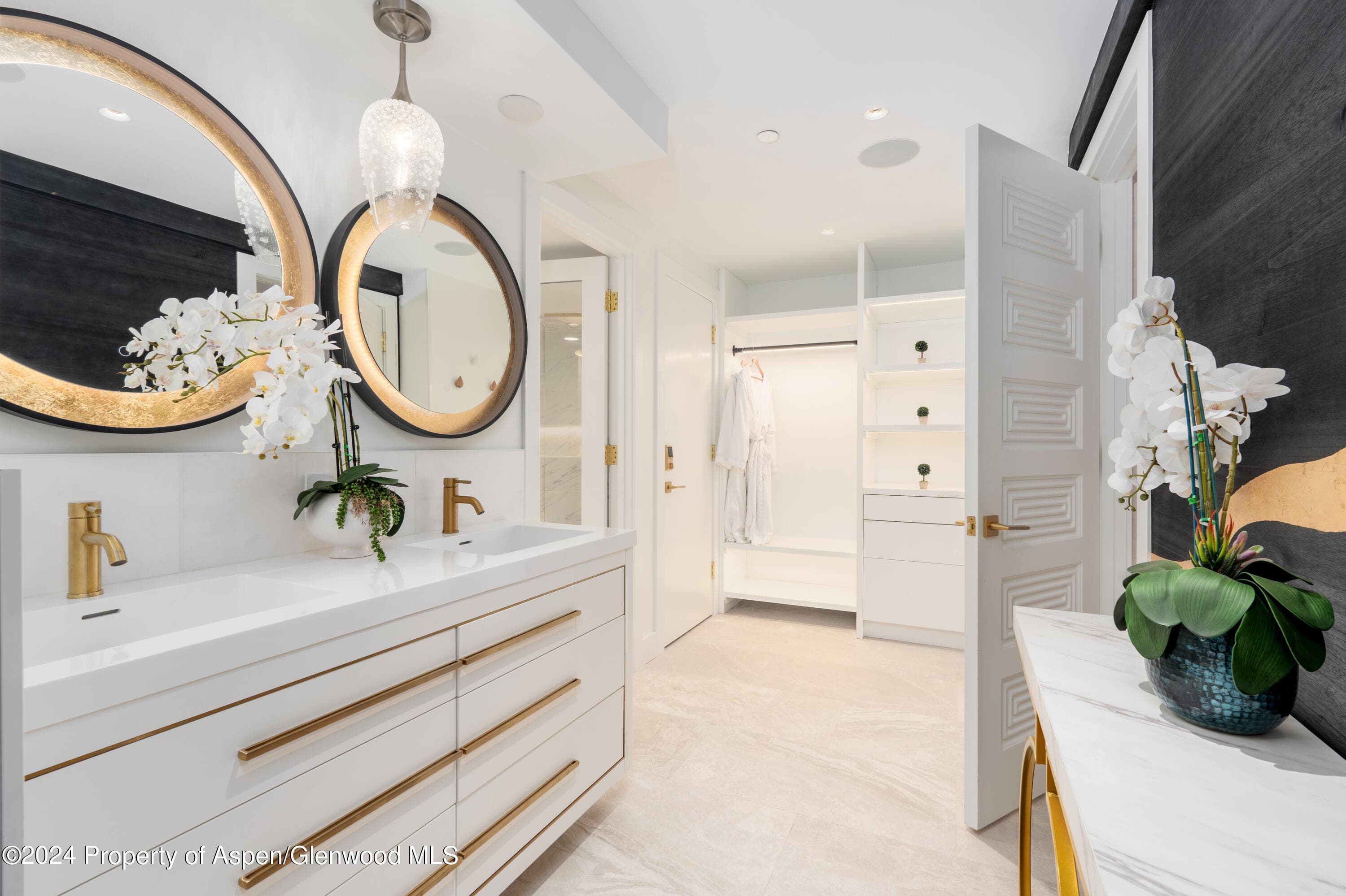 617 E Cooper Avenue 110, Aspen, CO 81611 - Photo 24