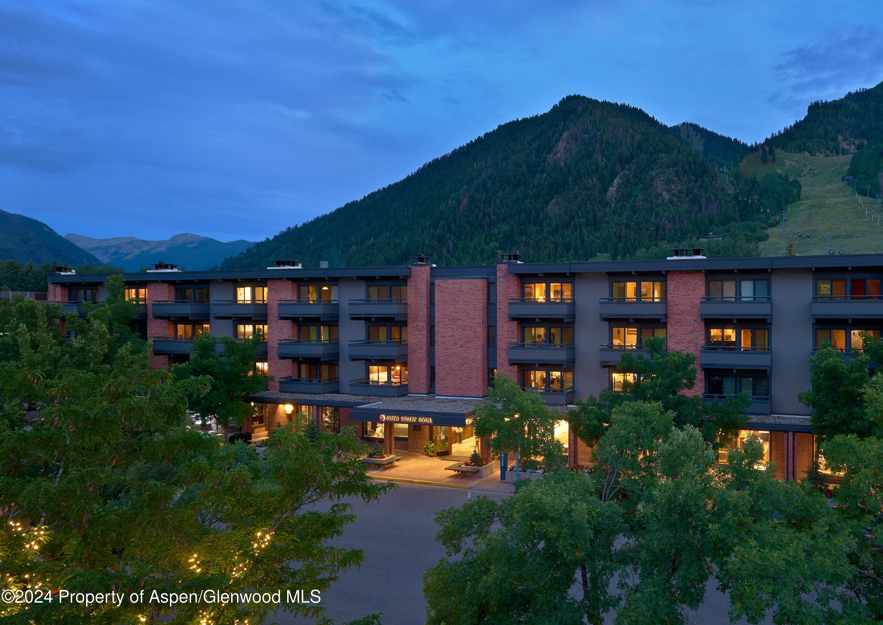 617 E Cooper Avenue 110, Aspen, CO 81611 - Photo 29