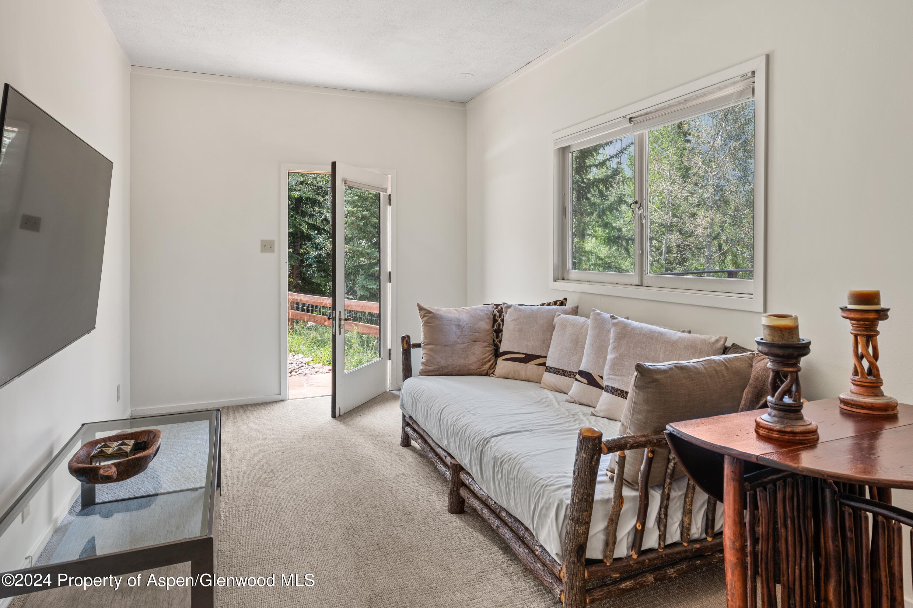 154 E Lupine Drive, Aspen, CO 81611 - Photo 24