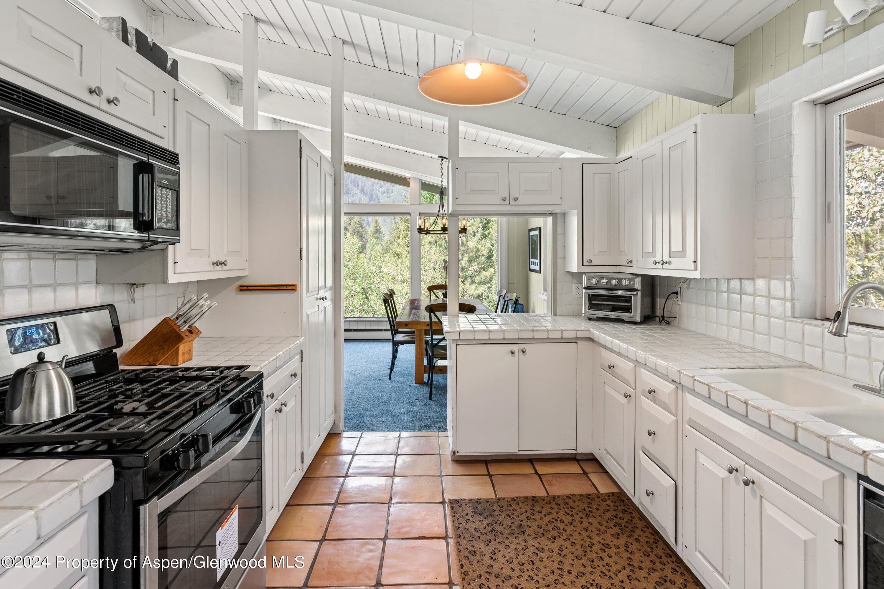 154 E Lupine Drive, Aspen, CO 81611 - Photo 12