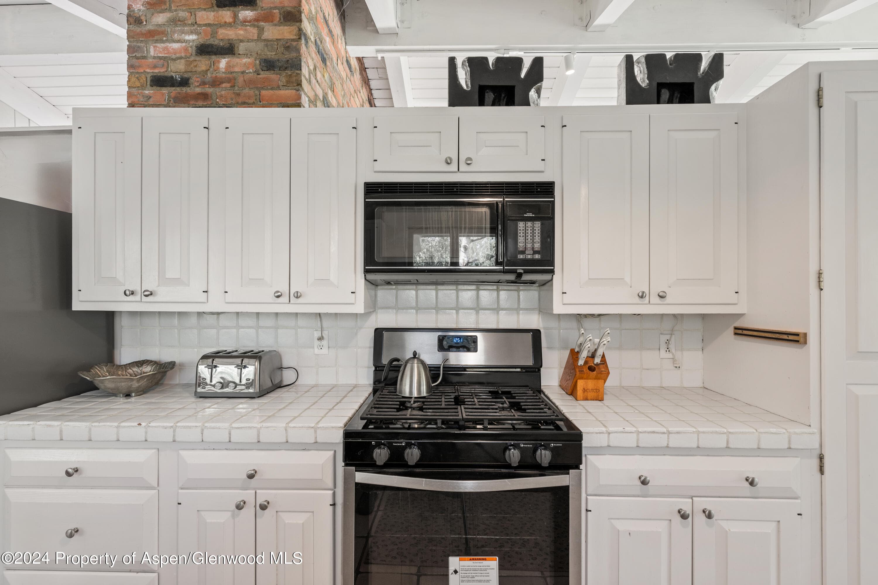 154 E Lupine Drive, Aspen, CO 81611 - Photo 11